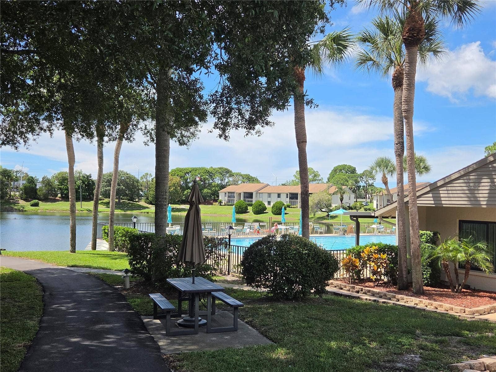 1700 PINE RIDGE WAY E, #C1, Palm Harbor, FL 34684 1700 PINE RIDGE WAY E, #C1, Palm Harbor, FL 34684