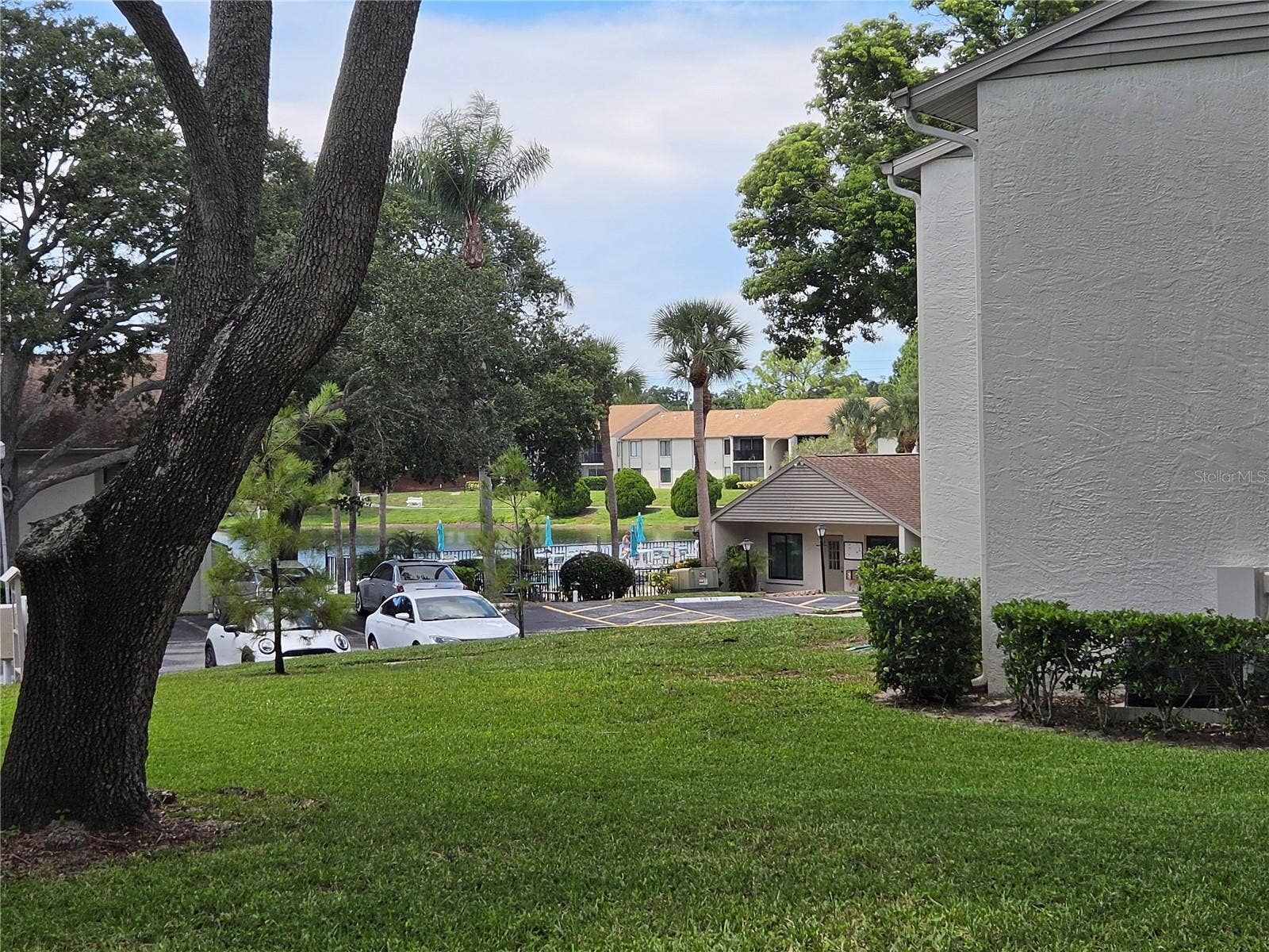 1700 PINE RIDGE WAY E, #C1, Palm Harbor, FL 34684 1700 PINE RIDGE WAY E, #C1, Palm Harbor, FL 34684