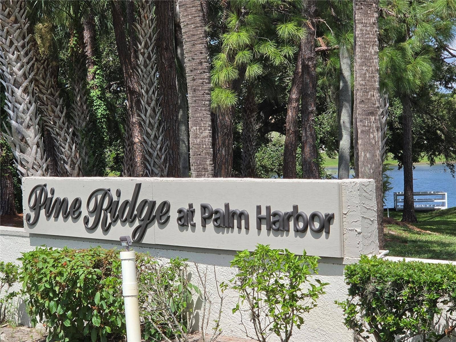 1700 PINE RIDGE WAY E, #C1, Palm Harbor, FL 34684 1700 PINE RIDGE WAY E, #C1, Palm Harbor, FL 34684