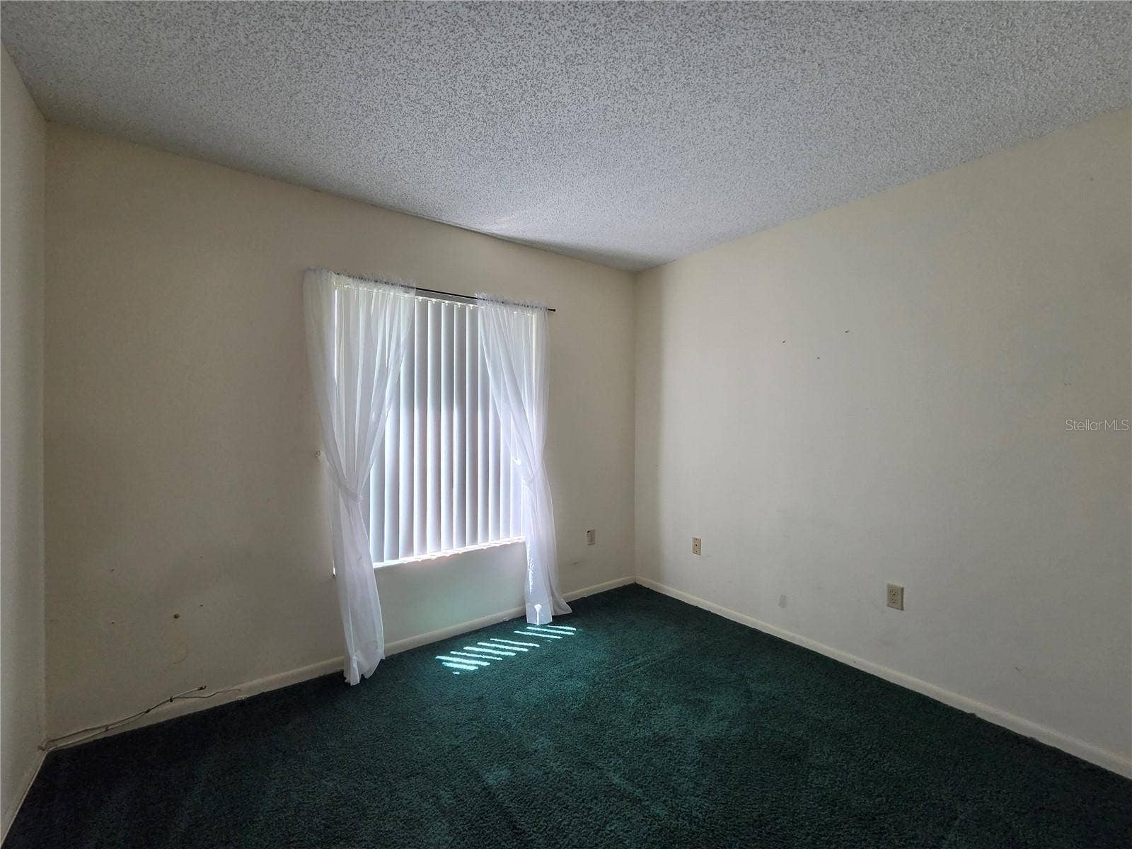 1700 PINE RIDGE WAY E, #C1, Palm Harbor, FL 34684 1700 PINE RIDGE WAY E, #C1, Palm Harbor, FL 34684