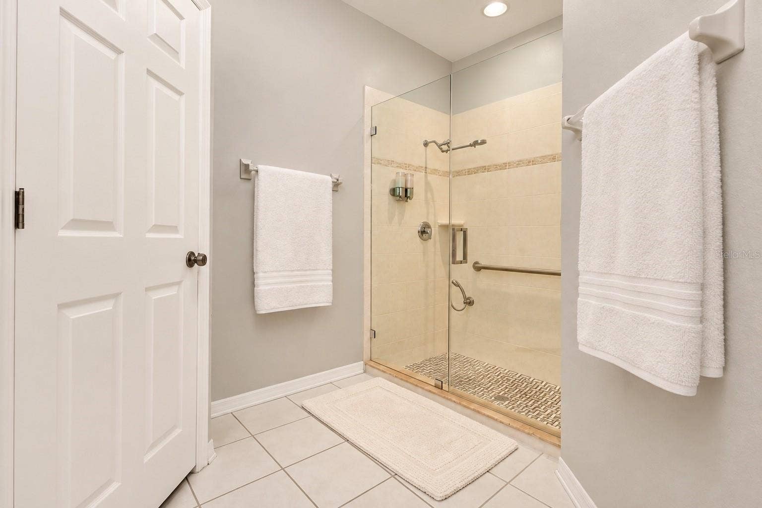 1161 EMERALD HILL WAY, Valrico, FL 33594 Primary Bathroom
