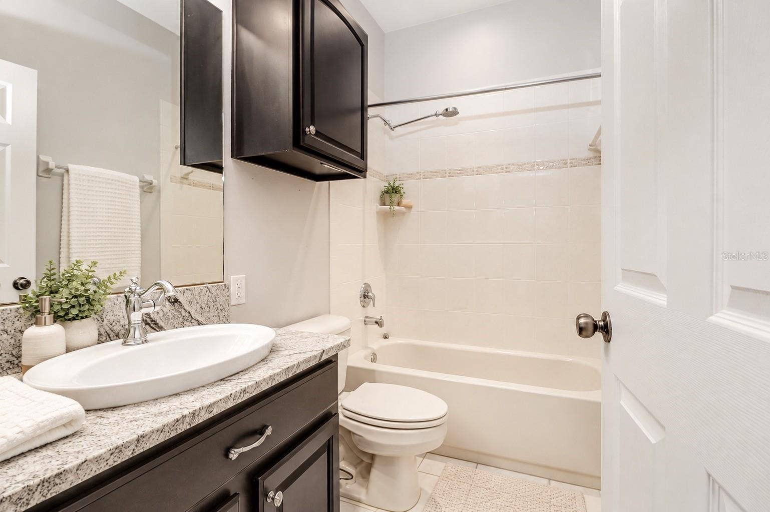 1161 EMERALD HILL WAY, Valrico, FL 33594 Hall Bath