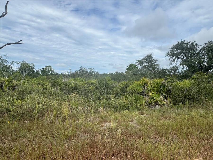 Property photo for 3022 W PETALUMA ROAD, Avon Park, FL