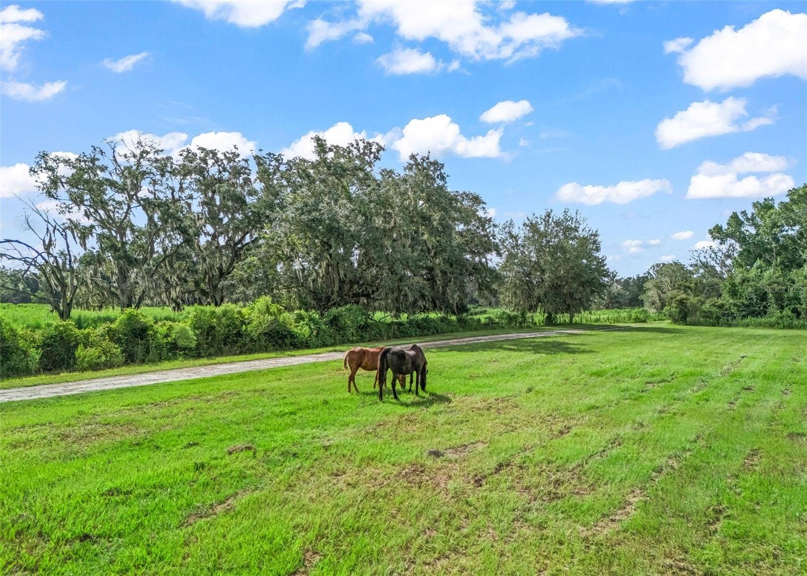 2239 SE 112TH AVENUE, Webster, FL 33597