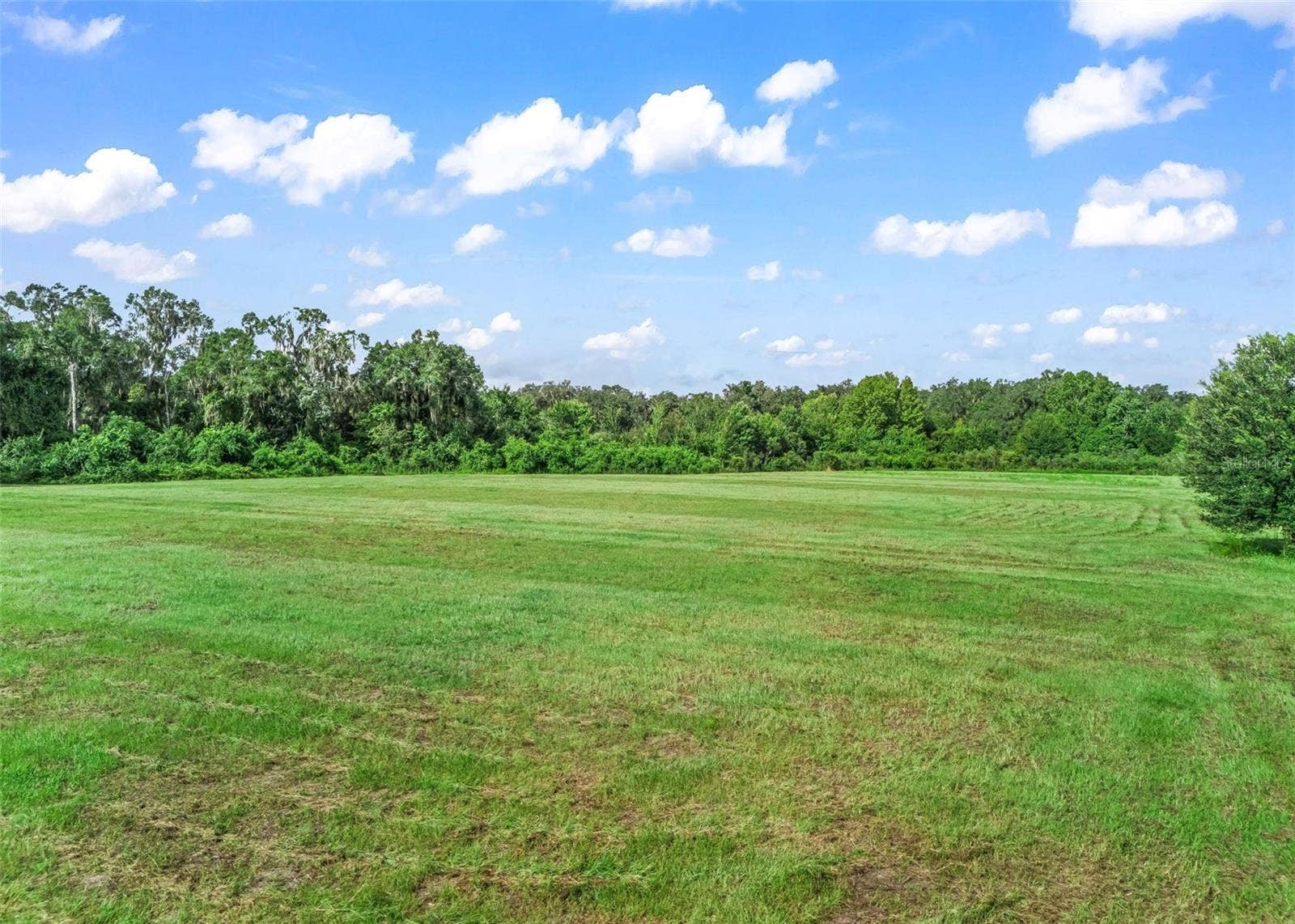 2239 SE 112TH AVENUE, Webster, FL 33597