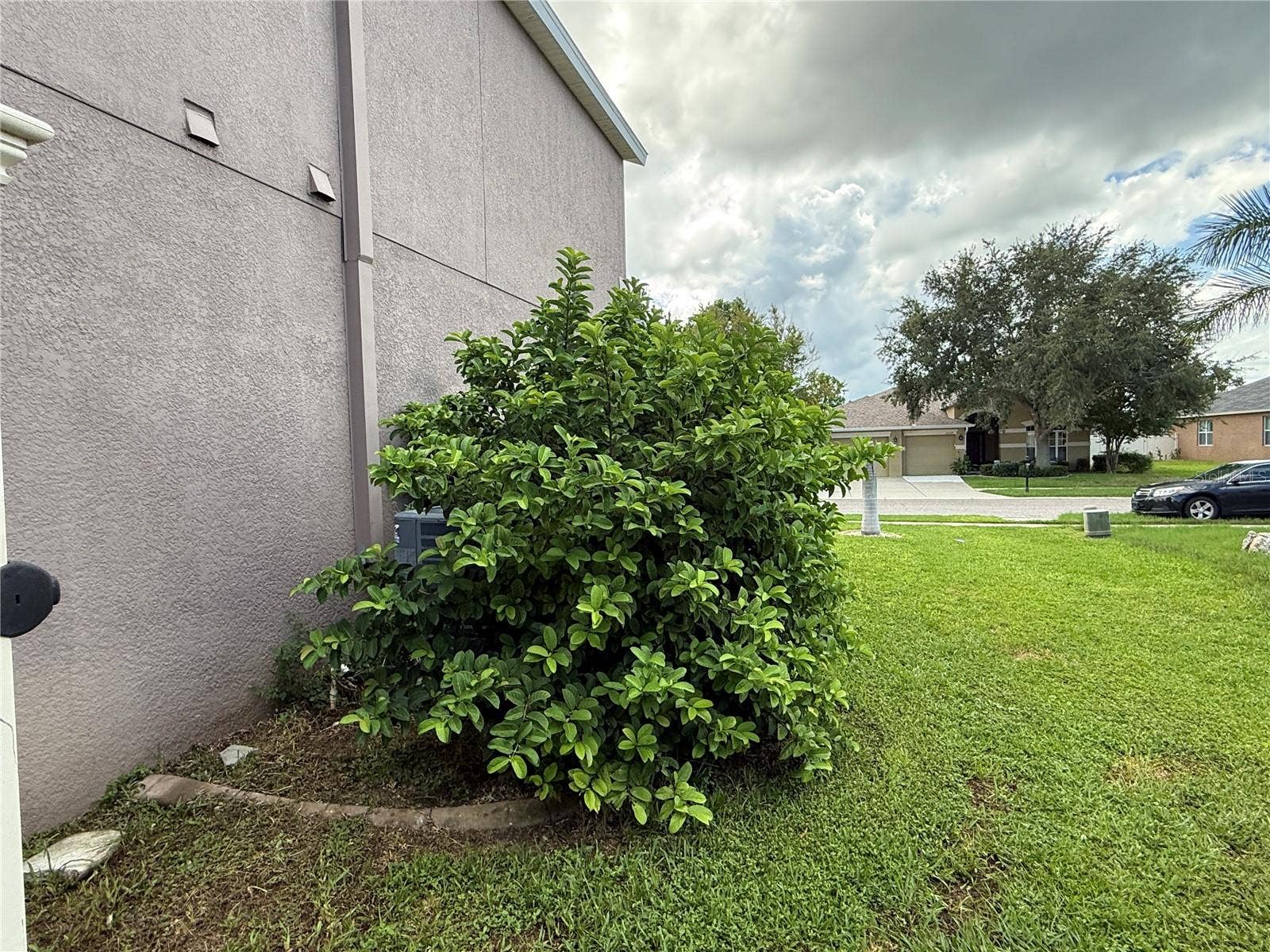 2325 SWORDFISH AVENUE, Holiday, FL 34691 2325 SWORDFISH AVENUE, Holiday, FL 34691