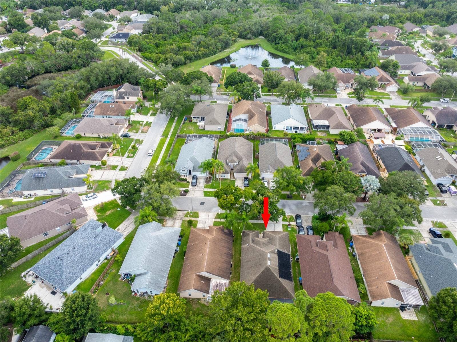 10274 OASIS PALM DRIVE, Tampa, FL 33615