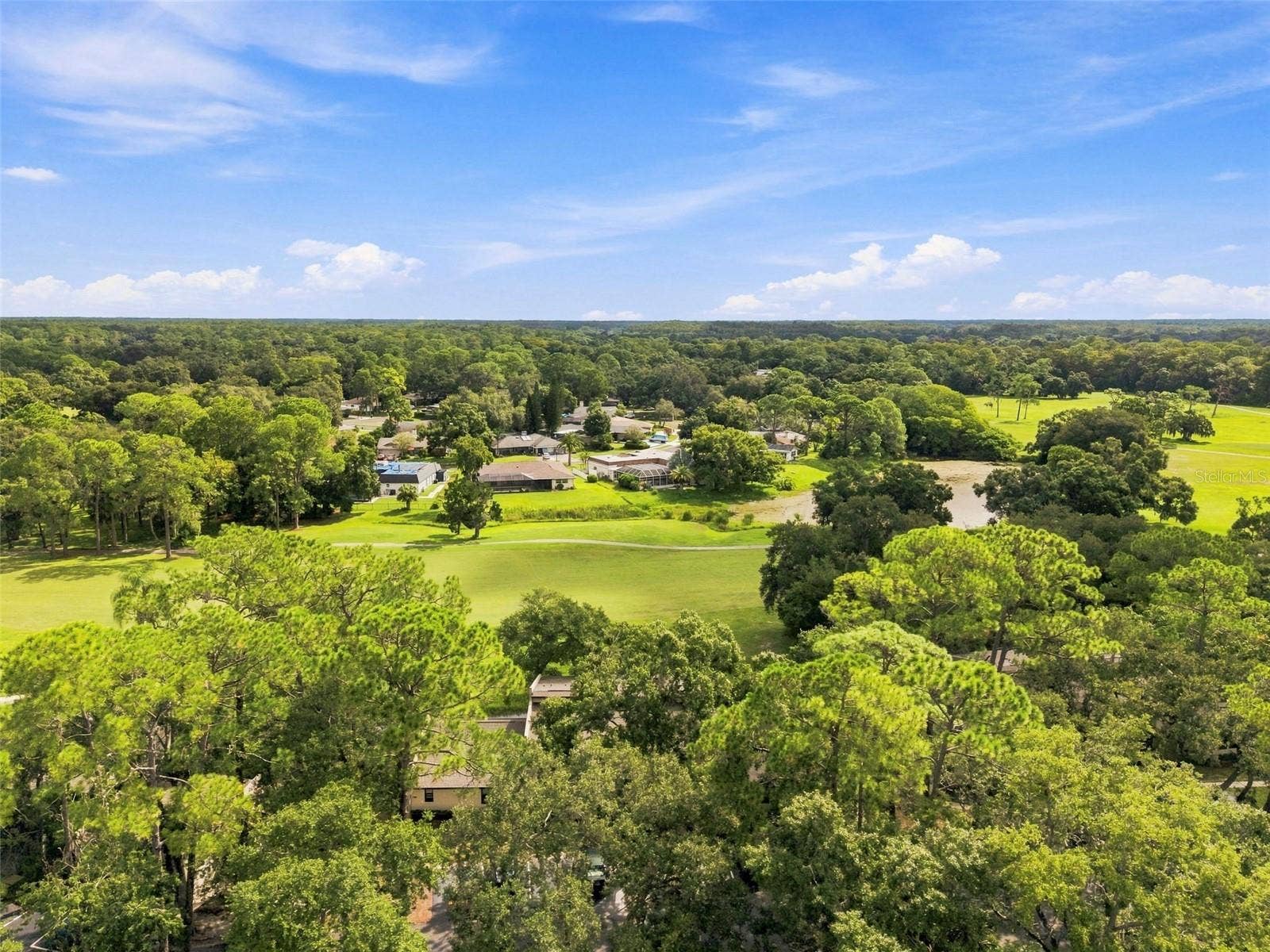 1000 TARPON WOODS BOULEVARD, #302, Palm Harbor, FL 34685