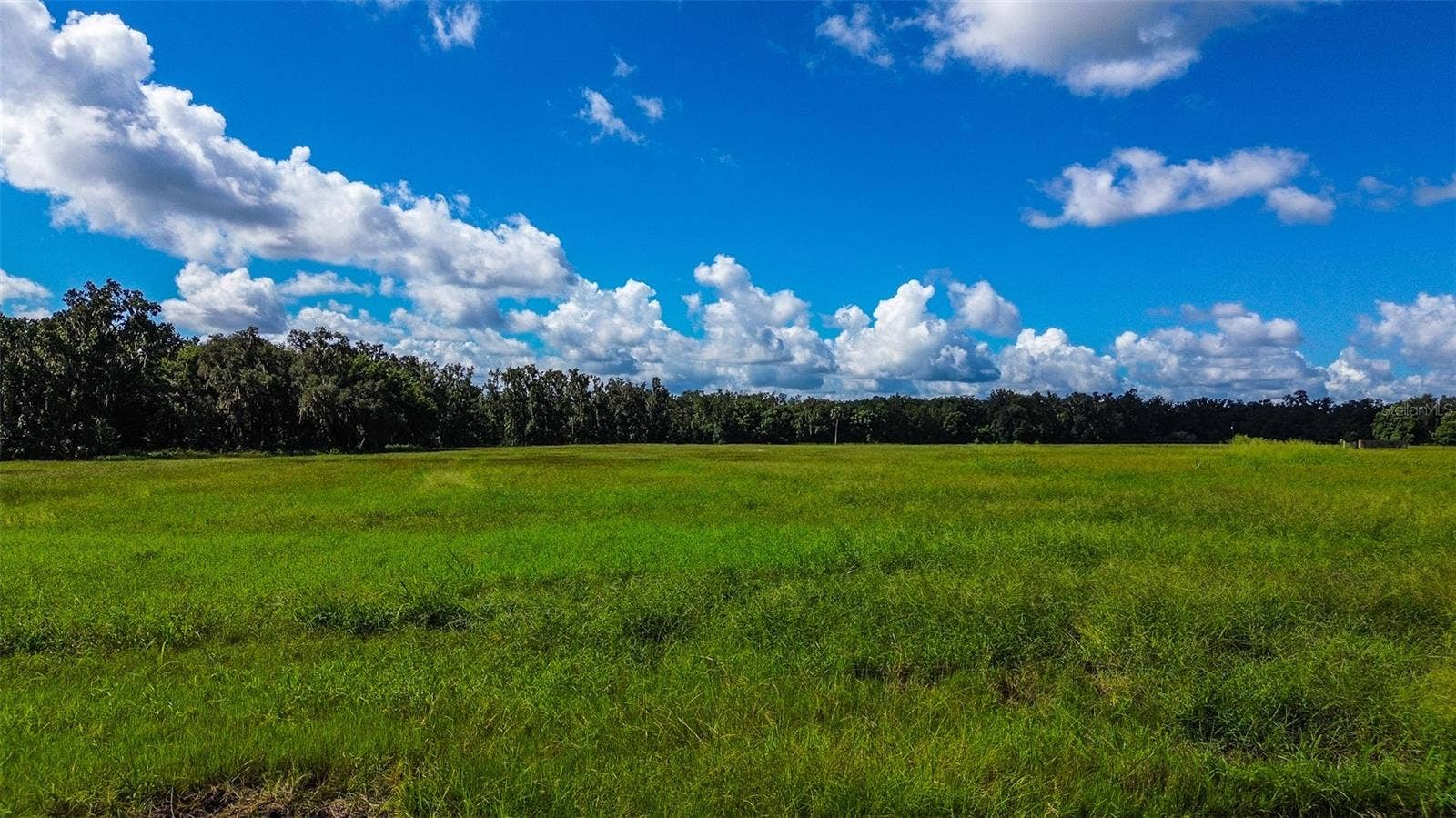 00 MILLER ROAD, Dade City, FL 33525 00 MILLER ROAD, Dade City, FL 33525