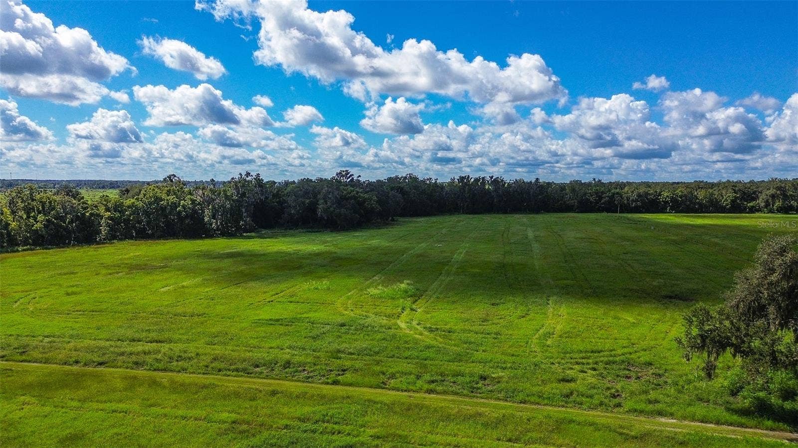 00 MILLER ROAD, Dade City, FL 33525 00 MILLER ROAD, Dade City, FL 33525