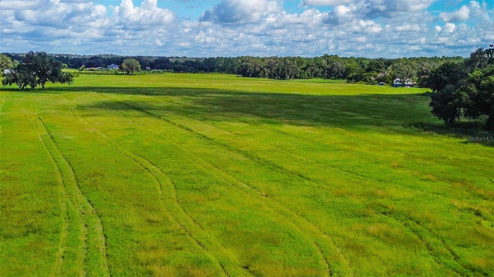 00 MILLER ROAD, Dade City, FL 33525 00 MILLER ROAD, Dade City, FL 33525