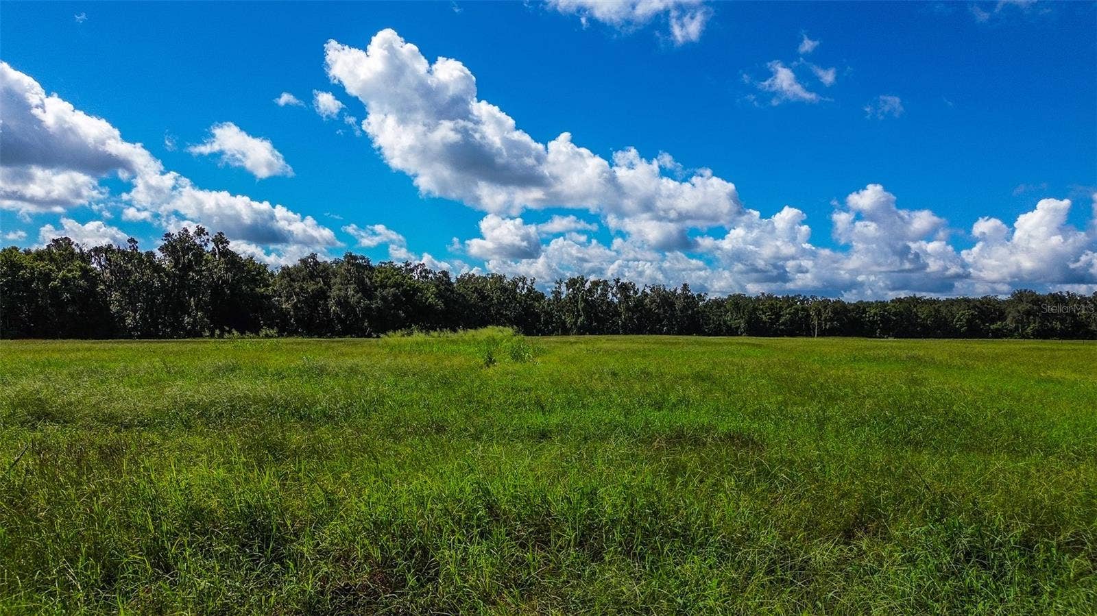 00 MILLER ROAD, Dade City, FL 33525 00 MILLER ROAD, Dade City, FL 33525