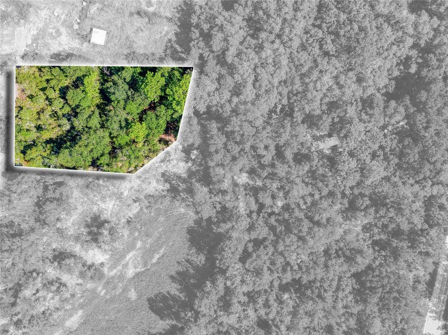 Property photo for 0 SANDSTONE STREET, Webster, FL