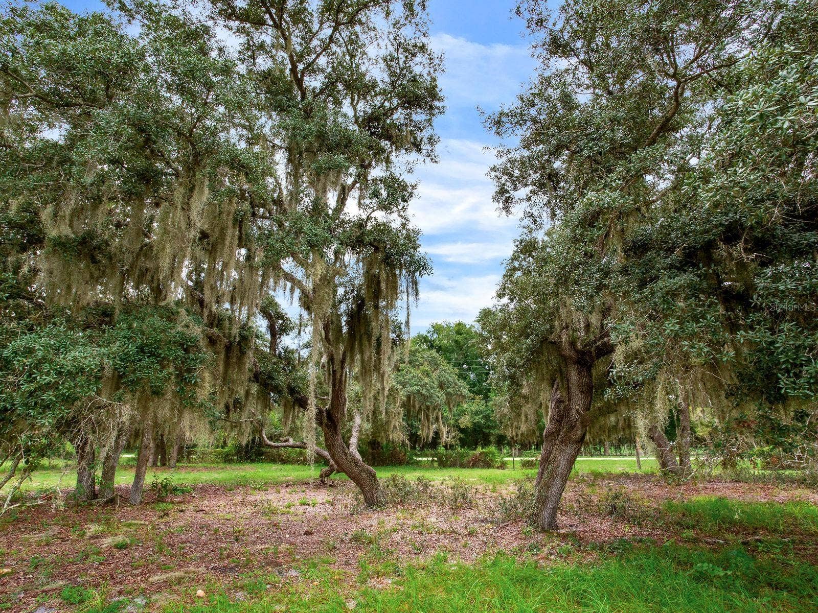 LAKE BUFFUM ROAD N, Fort Meade, FL 33841 LAKE BUFFUM ROAD N, Fort Meade, FL 33841