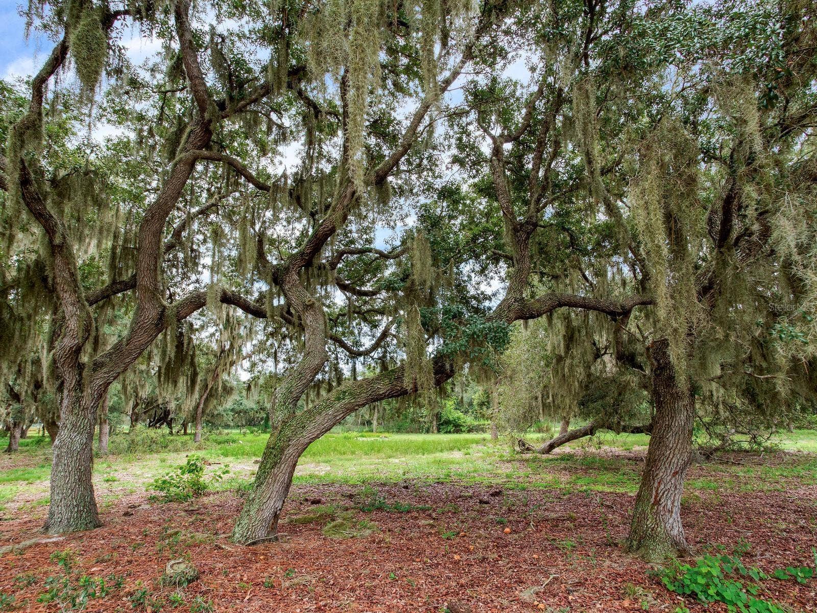 LAKE BUFFUM ROAD N, Fort Meade, FL 33841 LAKE BUFFUM ROAD N, Fort Meade, FL 33841