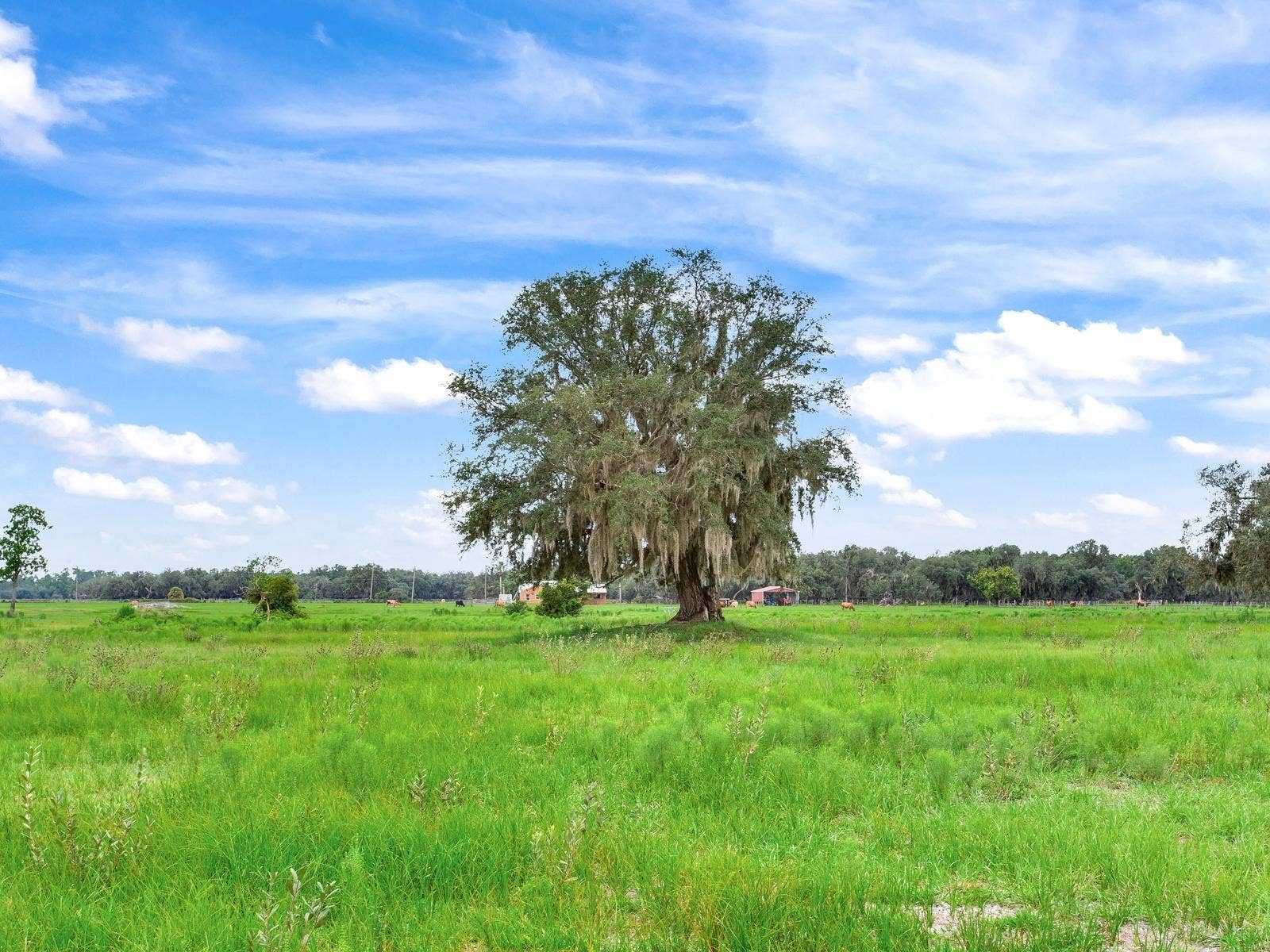 LAKE BUFFUM ROAD N, Fort Meade, FL 33841 LAKE BUFFUM ROAD N, Fort Meade, FL 33841