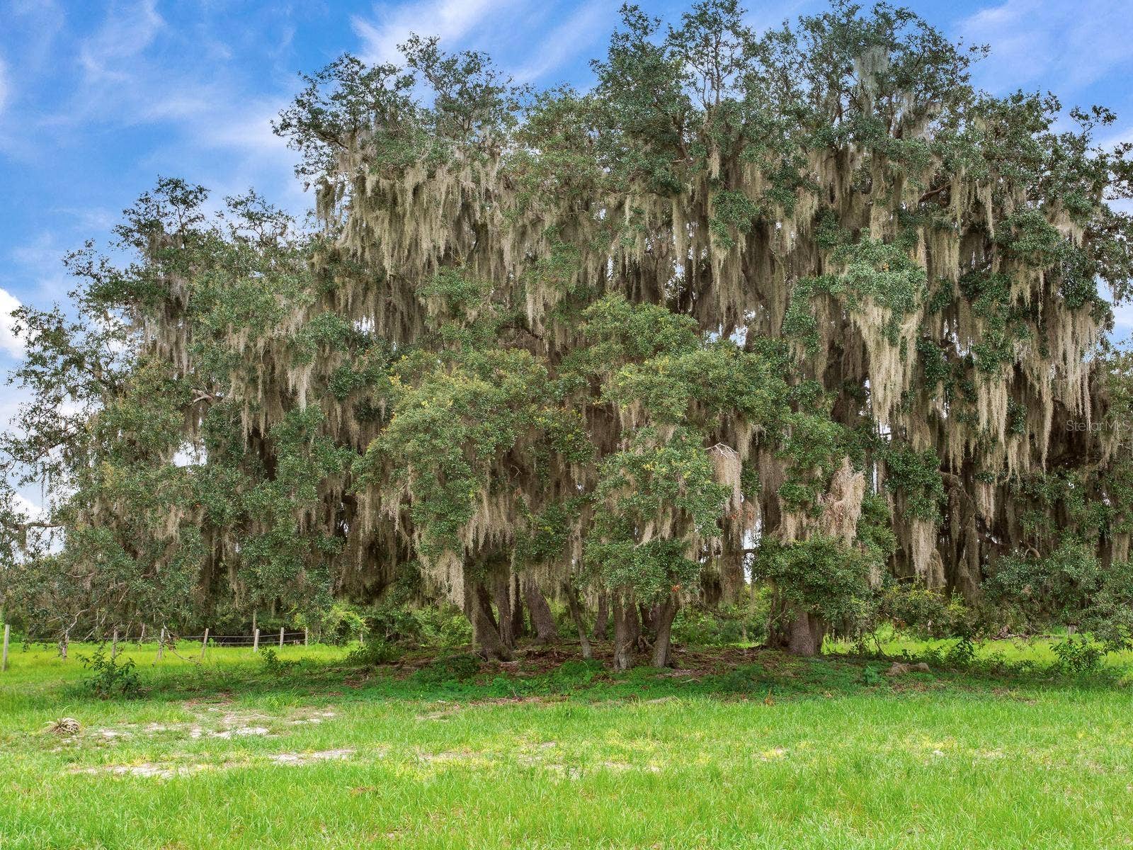 LAKE BUFFUM ROAD N, Fort Meade, FL 33841 LAKE BUFFUM ROAD N, Fort Meade, FL 33841