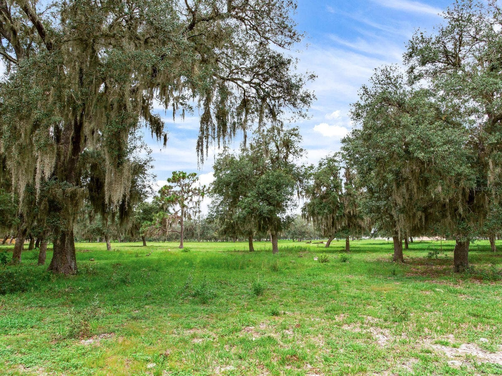 LAKE BUFFUM ROAD N, Fort Meade, FL 33841 LAKE BUFFUM ROAD N, Fort Meade, FL 33841