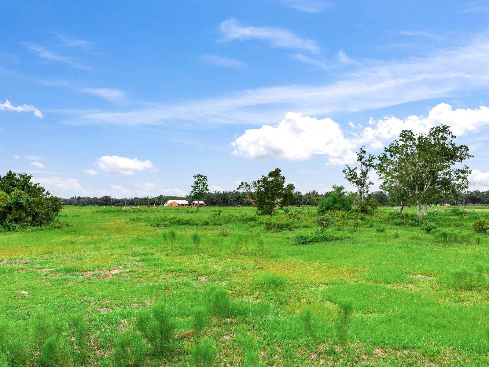 LAKE BUFFUM ROAD N, Fort Meade, FL 33841 LAKE BUFFUM ROAD N, Fort Meade, FL 33841