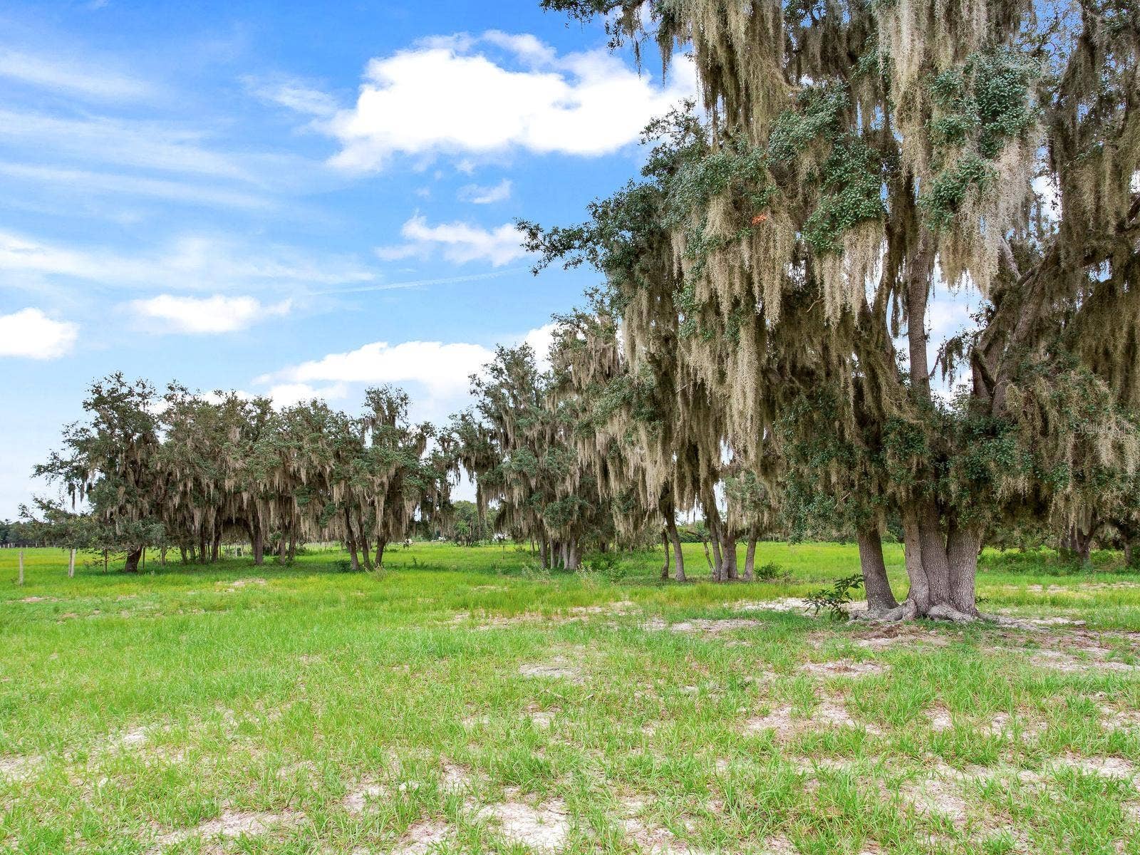 LAKE BUFFUM ROAD N, Fort Meade, FL 33841 LAKE BUFFUM ROAD N, Fort Meade, FL 33841