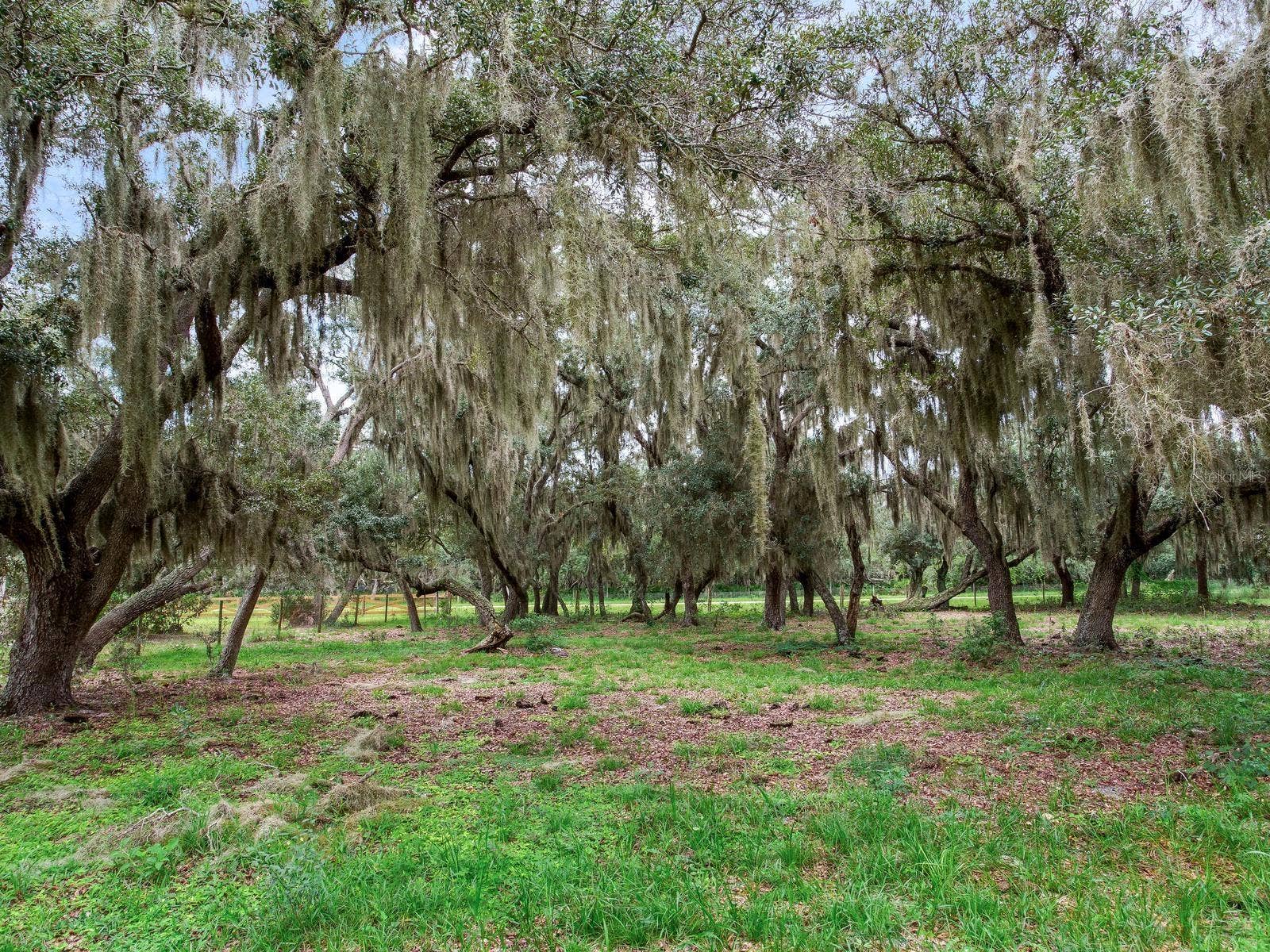 LAKE BUFFUM ROAD N, Fort Meade, FL 33841 LAKE BUFFUM ROAD N, Fort Meade, FL 33841