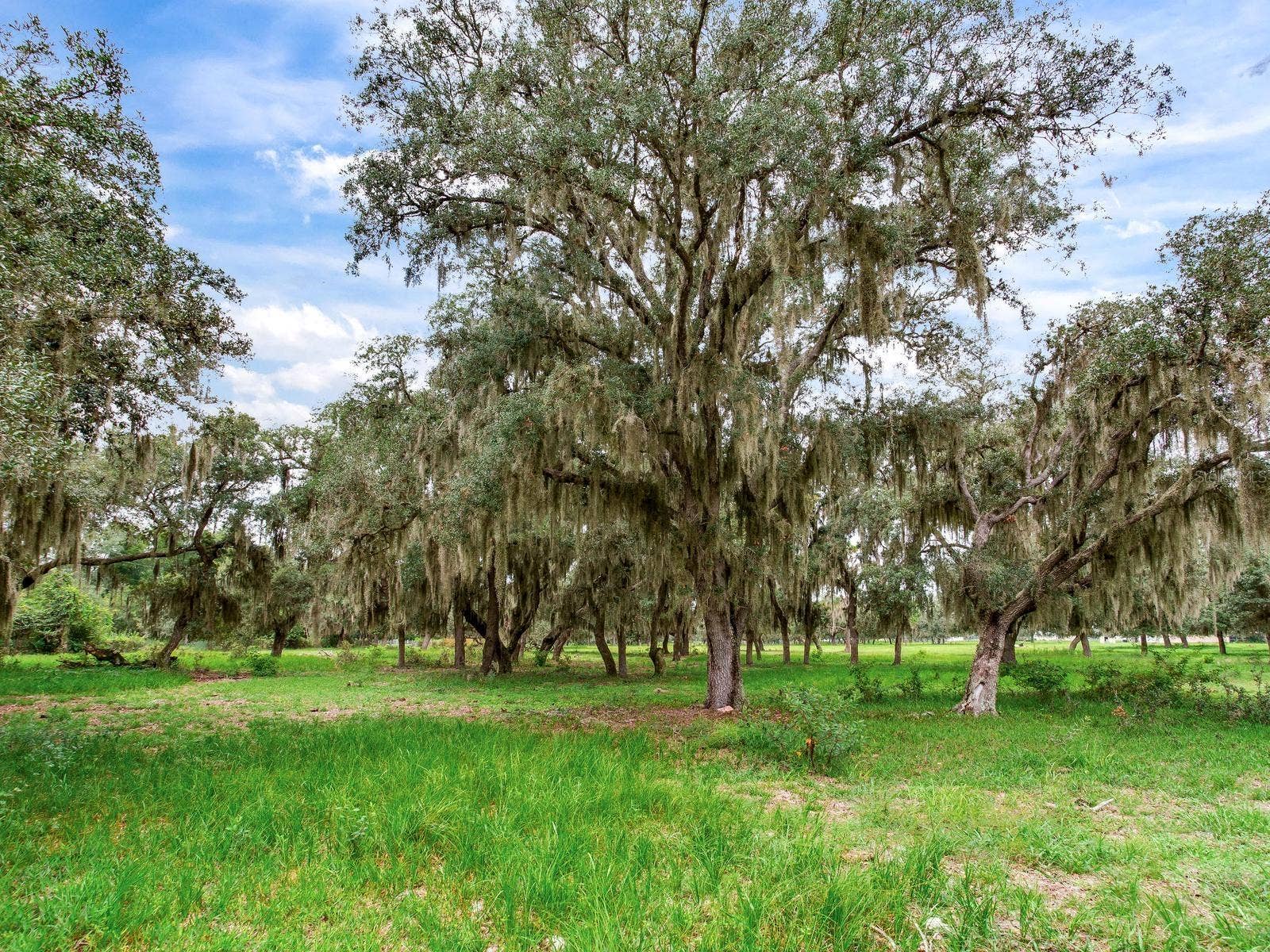 LAKE BUFFUM ROAD N, Fort Meade, FL 33841 LAKE BUFFUM ROAD N, Fort Meade, FL 33841