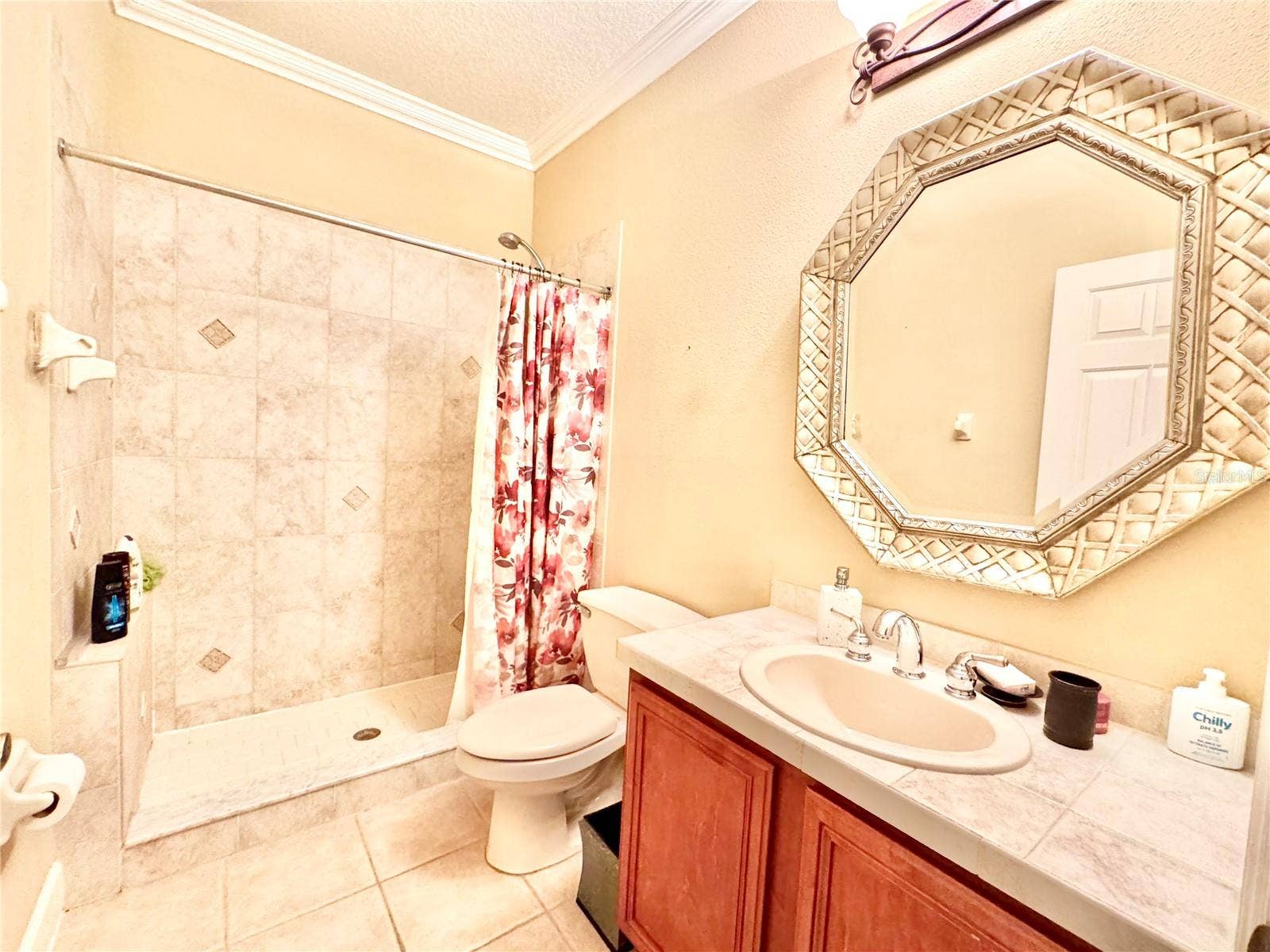 19135 TIMBER REACH ROAD, Tampa, FL 33647