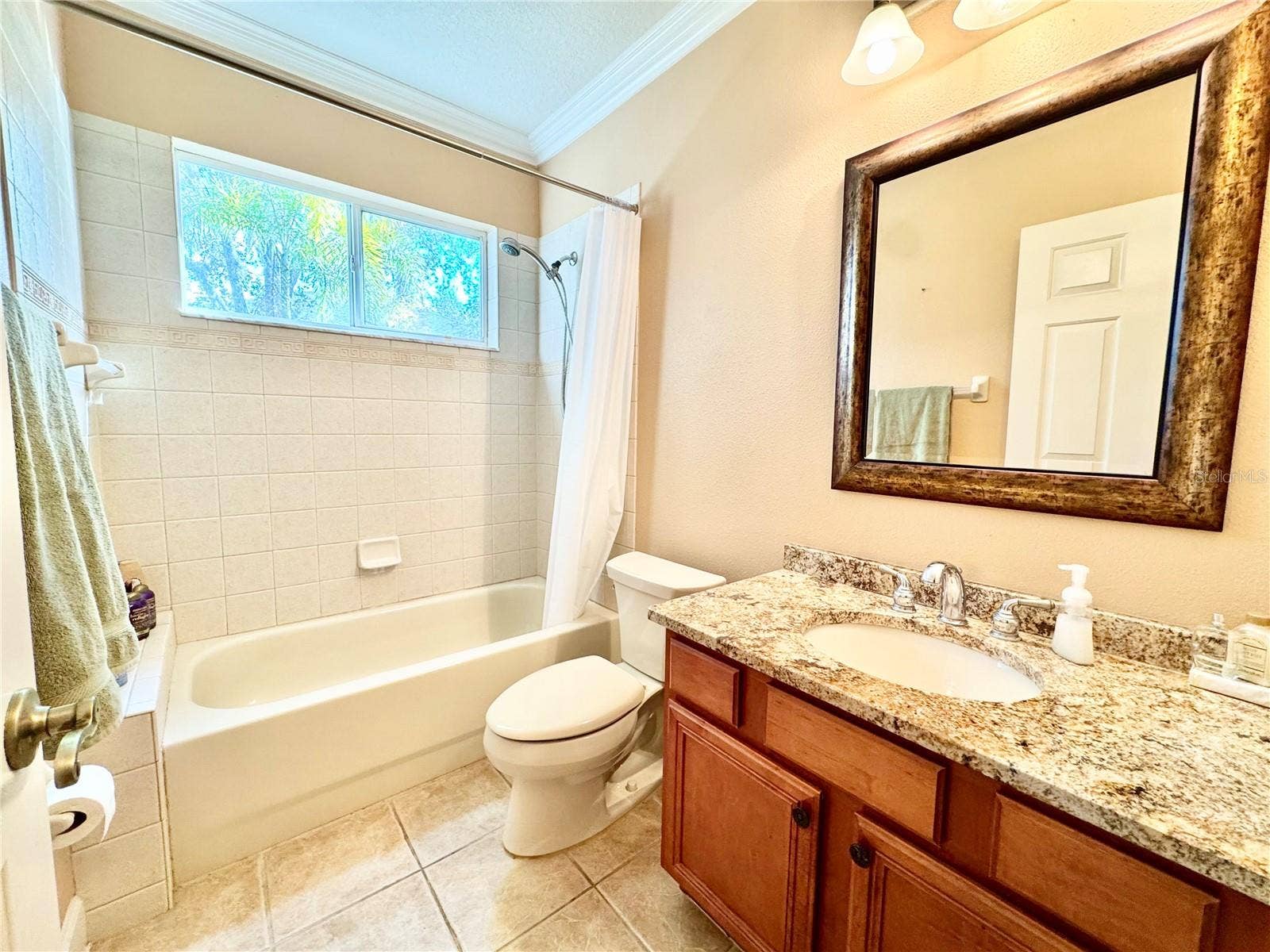 19135 TIMBER REACH ROAD, Tampa, FL 33647