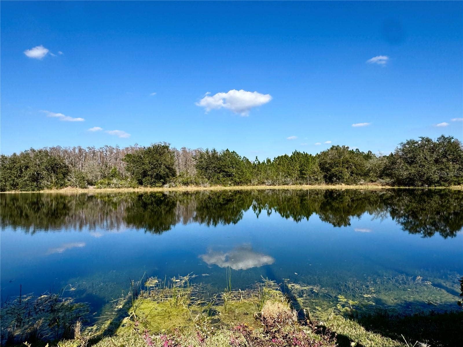 19135 TIMBER REACH ROAD, Tampa, FL 33647