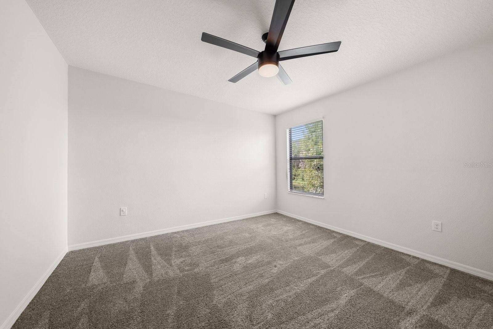 1797 HADDEN HALL PLACE, Trinity, FL 34655