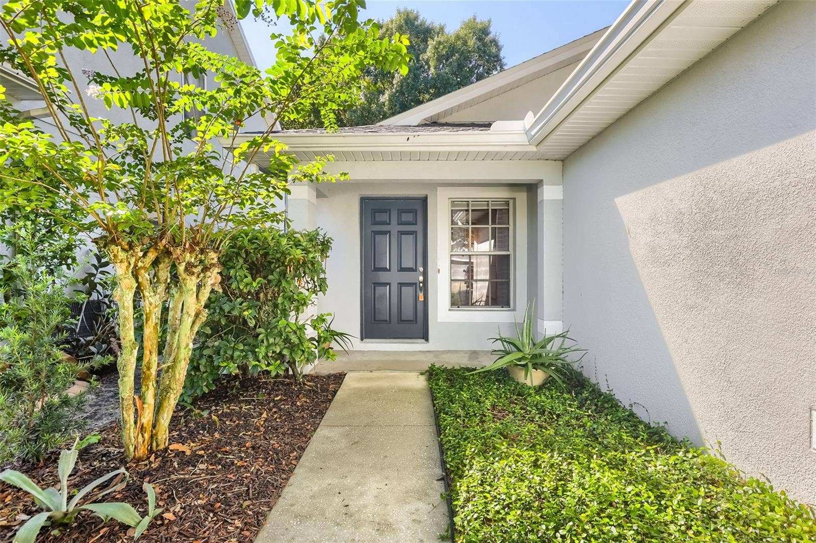7902 CITRUS BLOSSOM DRIVE, Land O Lakes, FL 34637 7902 CITRUS BLOSSOM DRIVE, Land O Lakes, FL 34637