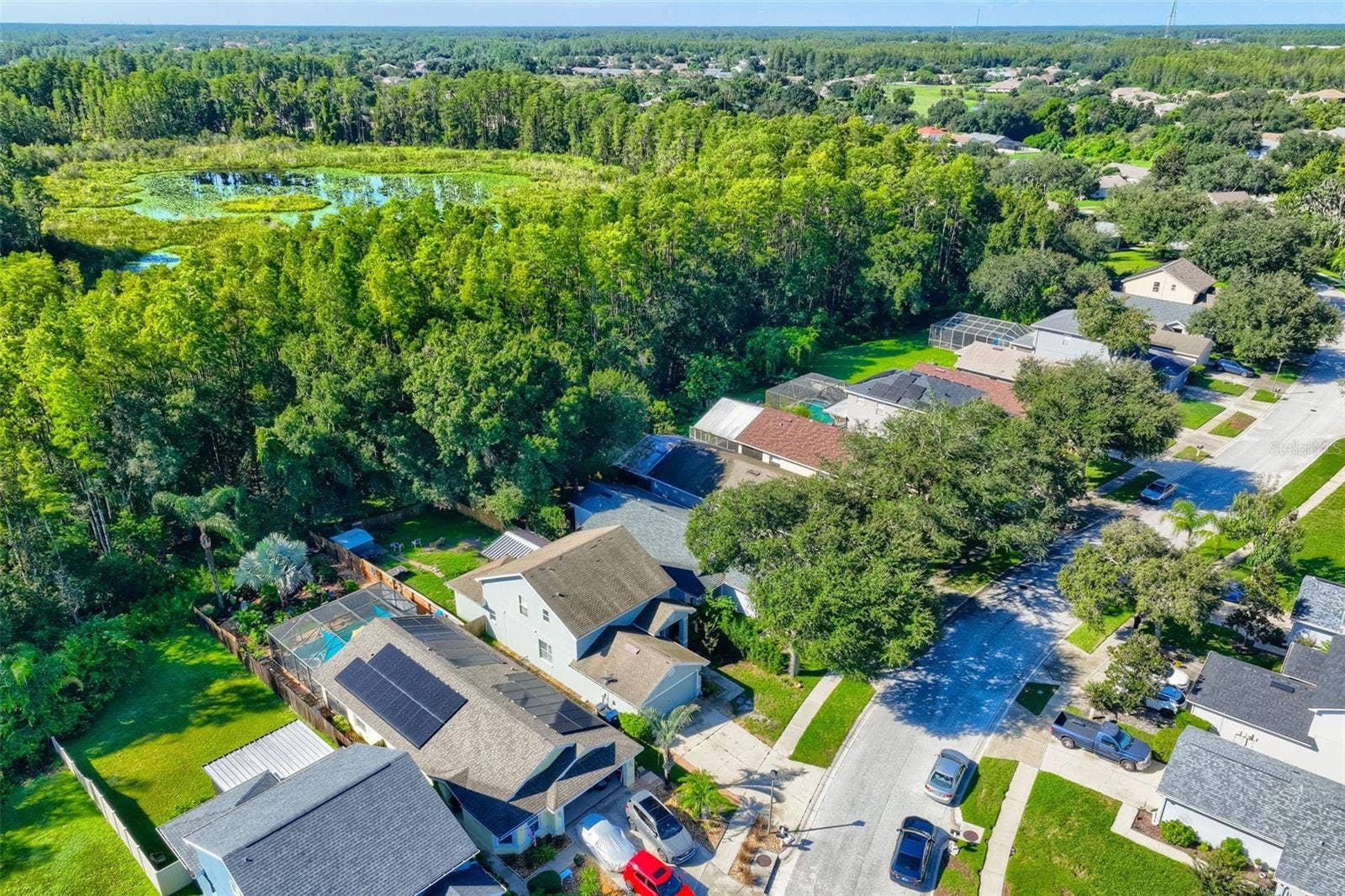 7902 CITRUS BLOSSOM DRIVE, Land O Lakes, FL 34637 7902 CITRUS BLOSSOM DRIVE, Land O Lakes, FL 34637