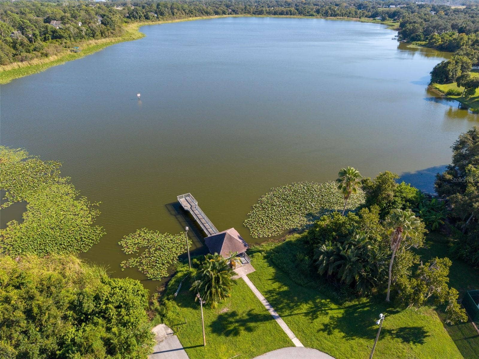 3992 ORCHARD HILL CIRCLE, Palm Harbor, FL 34684 Dock with Water Access: Private lake access for fishing, non-motorized boating, a boat ramp, and a water-view dock.