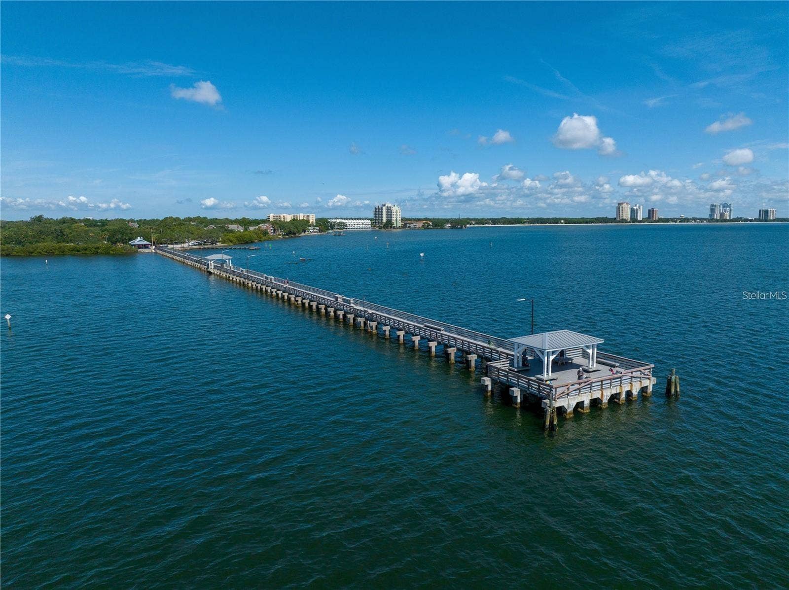 3005 W HELEN AVENUE, Tampa, FL 33611