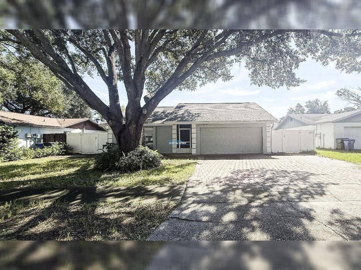 11205 PARTRIDGE DRIVE, Tampa, FL 33625 11205 PARTRIDGE DRIVE, Tampa, FL 33625