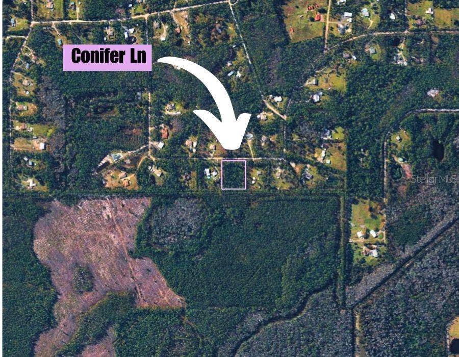 220 CONIFER LANE, Ormond Beach, FL 32174 220 CONIFER LANE, Ormond Beach, FL 32174