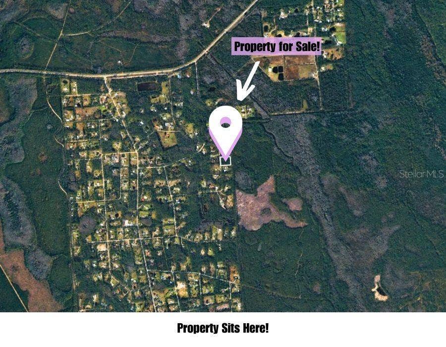 220 CONIFER LANE, Ormond Beach, FL 32174 220 CONIFER LANE, Ormond Beach, FL 32174