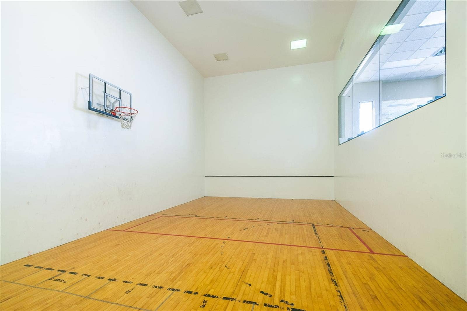 Basketball and or Racquetball