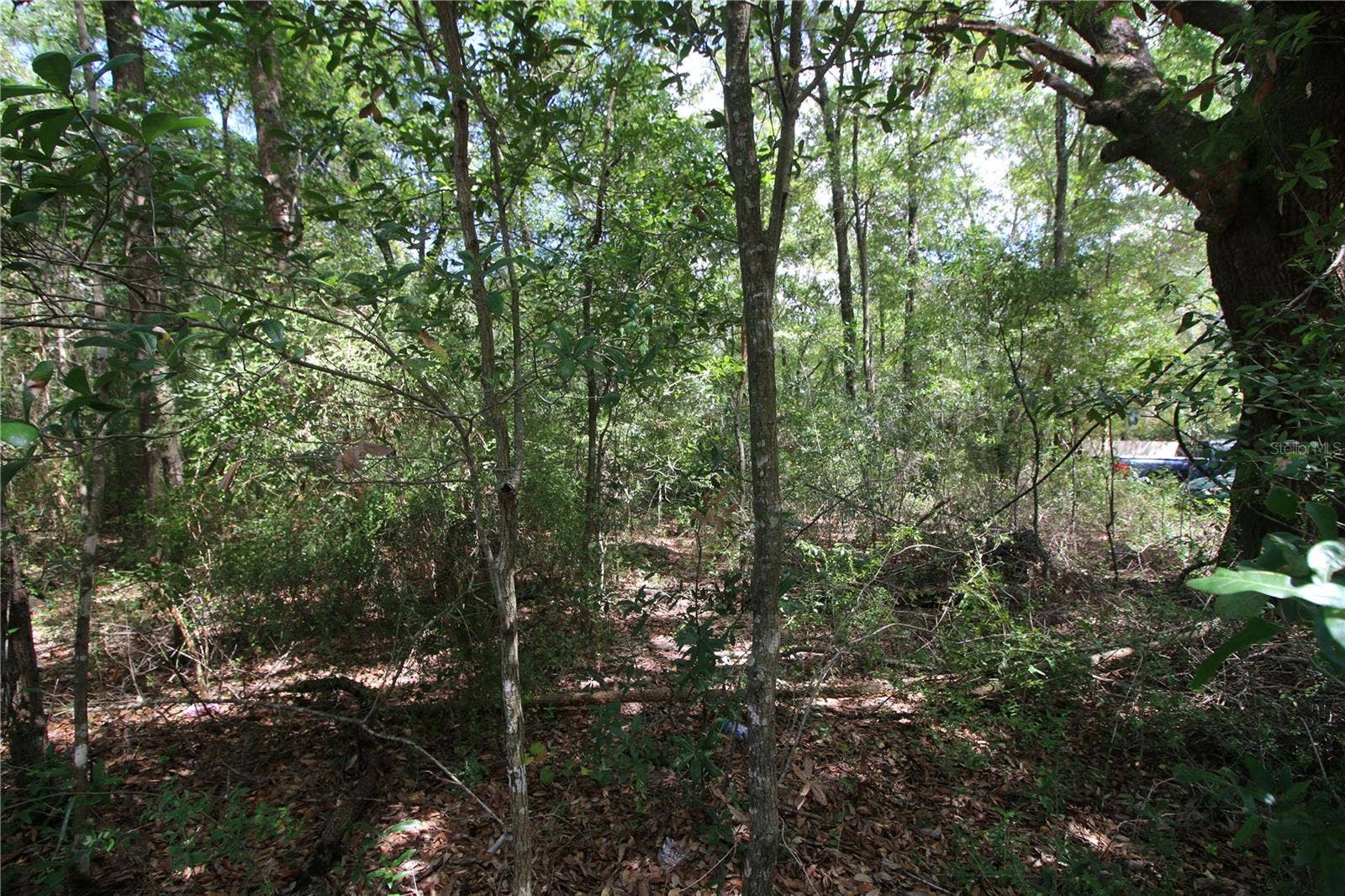 WASHINGTON STREET, Milton, FL 32570