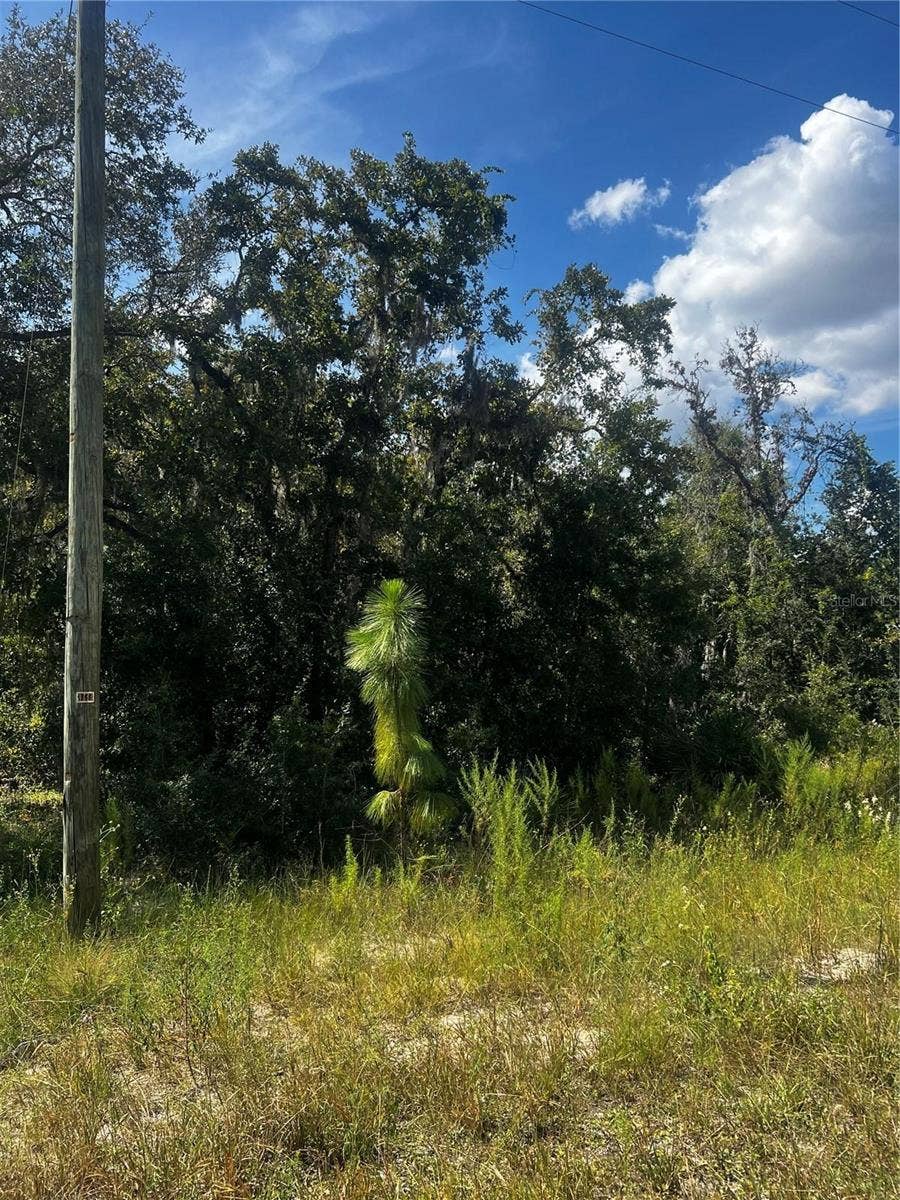 Property photo for 0 CRIDER ROAD, Weeki Wachee, FL