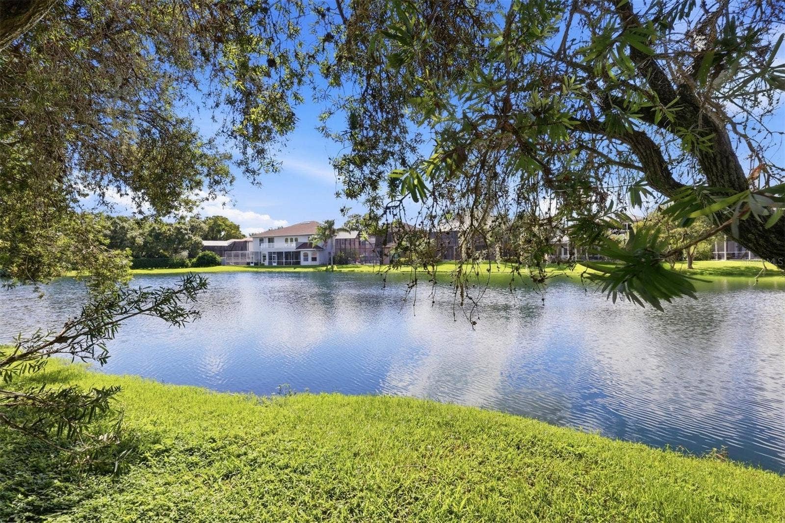 2242 CYPRESS HOLLOW COURT, Safety Harbor, FL 34695 Path to Pickleball Court