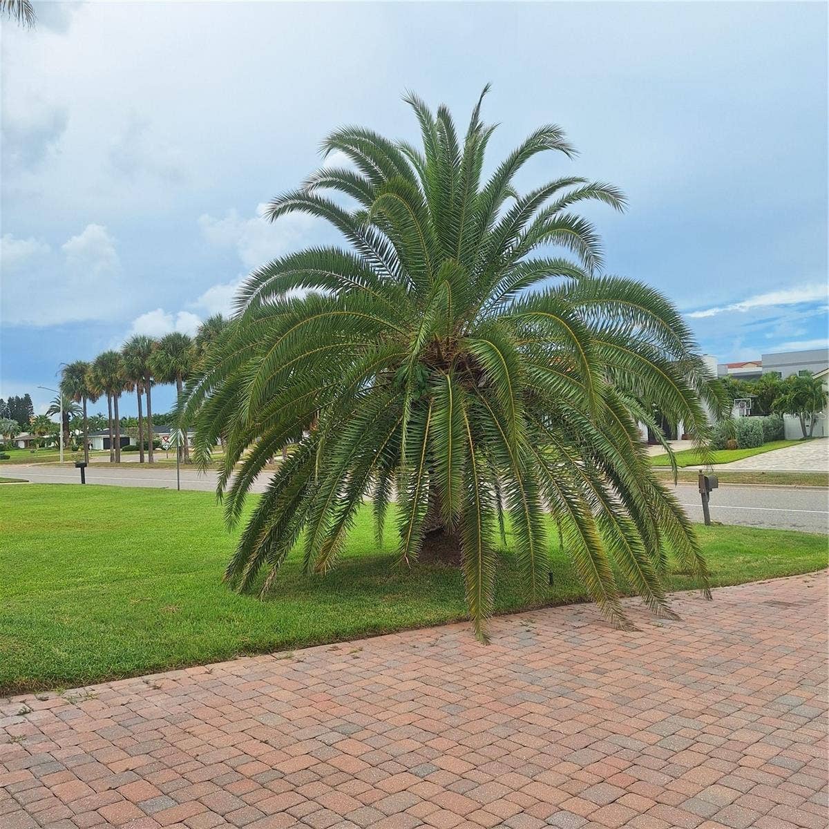 267 MONTE CRISTO BOULEVARD, Tierra Verde, FL 33715 267 MONTE CRISTO BOULEVARD, Tierra Verde, FL 33715