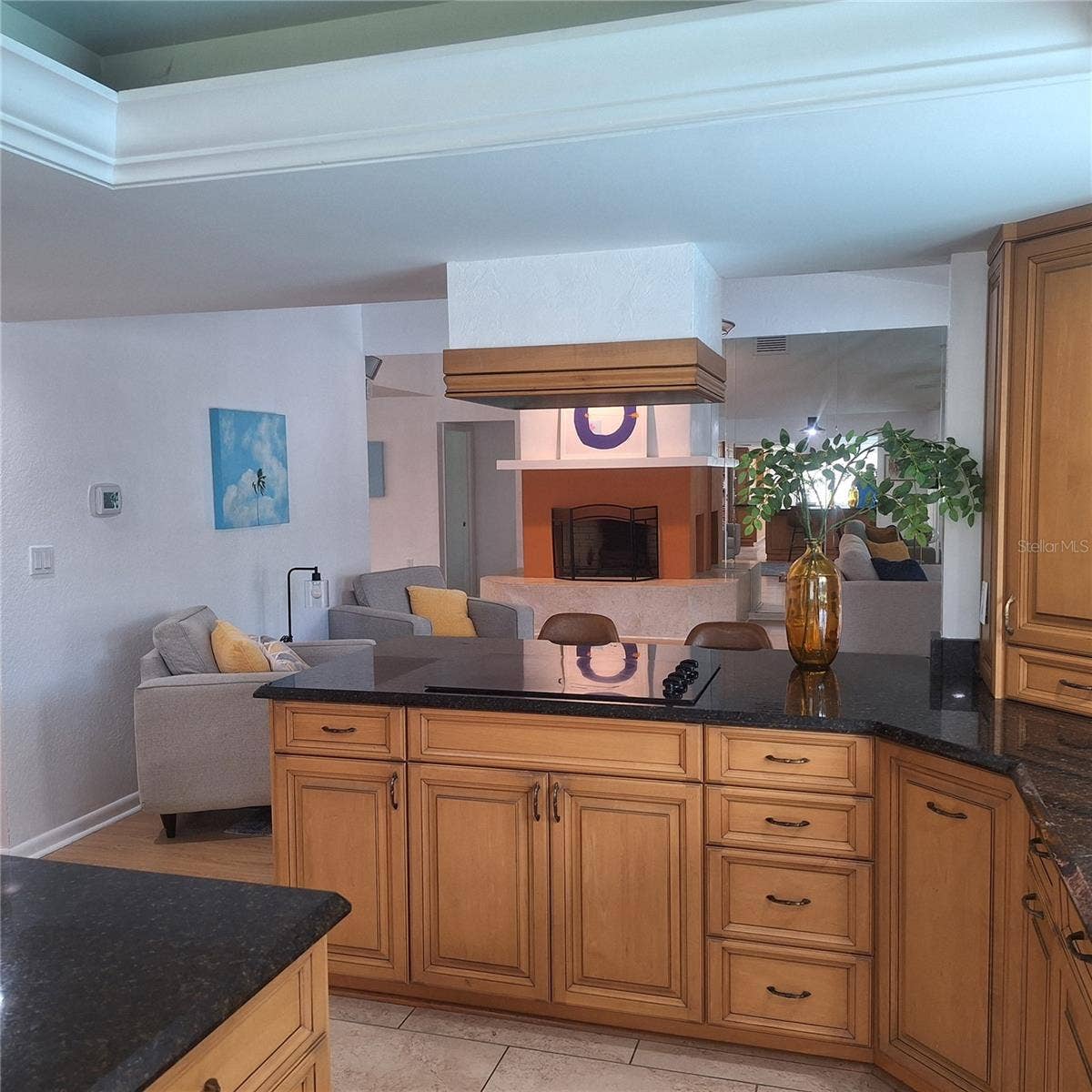 267 MONTE CRISTO BOULEVARD, Tierra Verde, FL 33715 267 MONTE CRISTO BOULEVARD, Tierra Verde, FL 33715