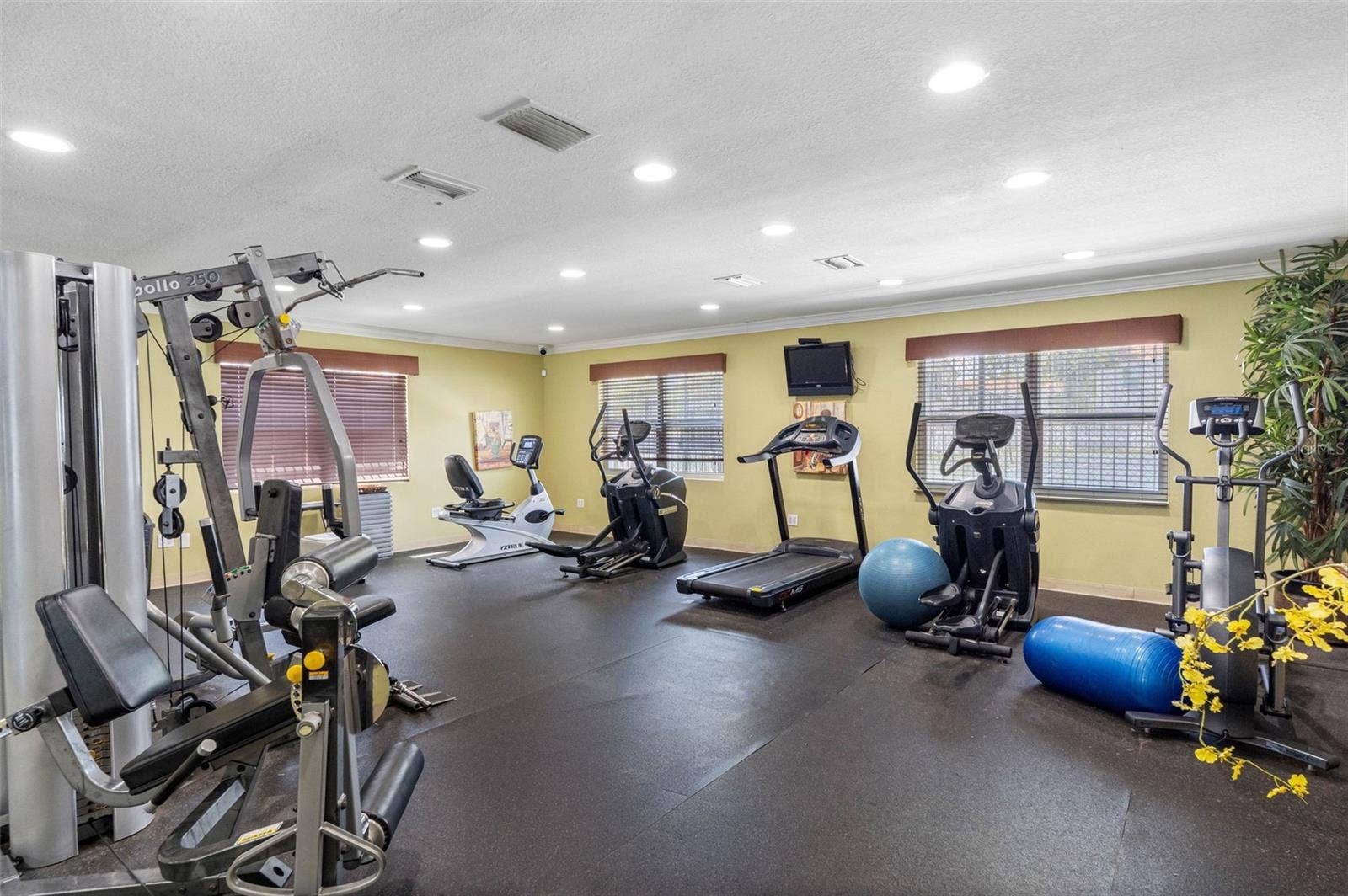7210 N MANHATTAN AVENUE, #1813, Tampa, FL 33614
