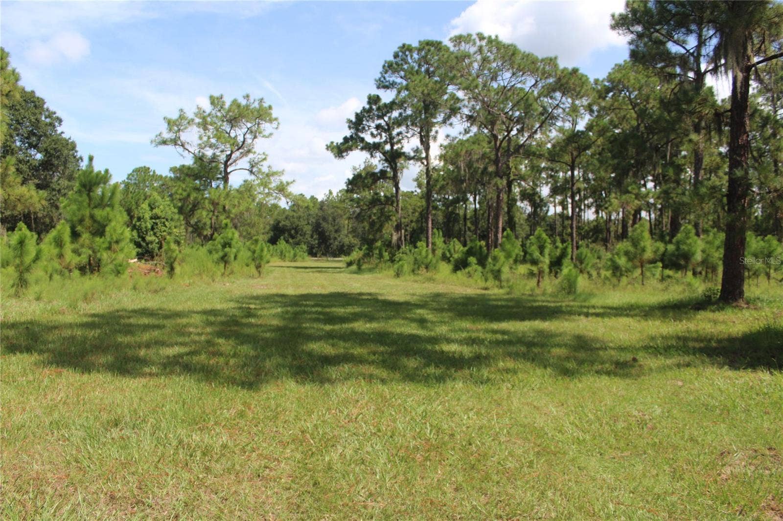 US HIGHWAY 98 W, Frostproof, FL 33843 US HIGHWAY 98 W, Frostproof, FL 33843