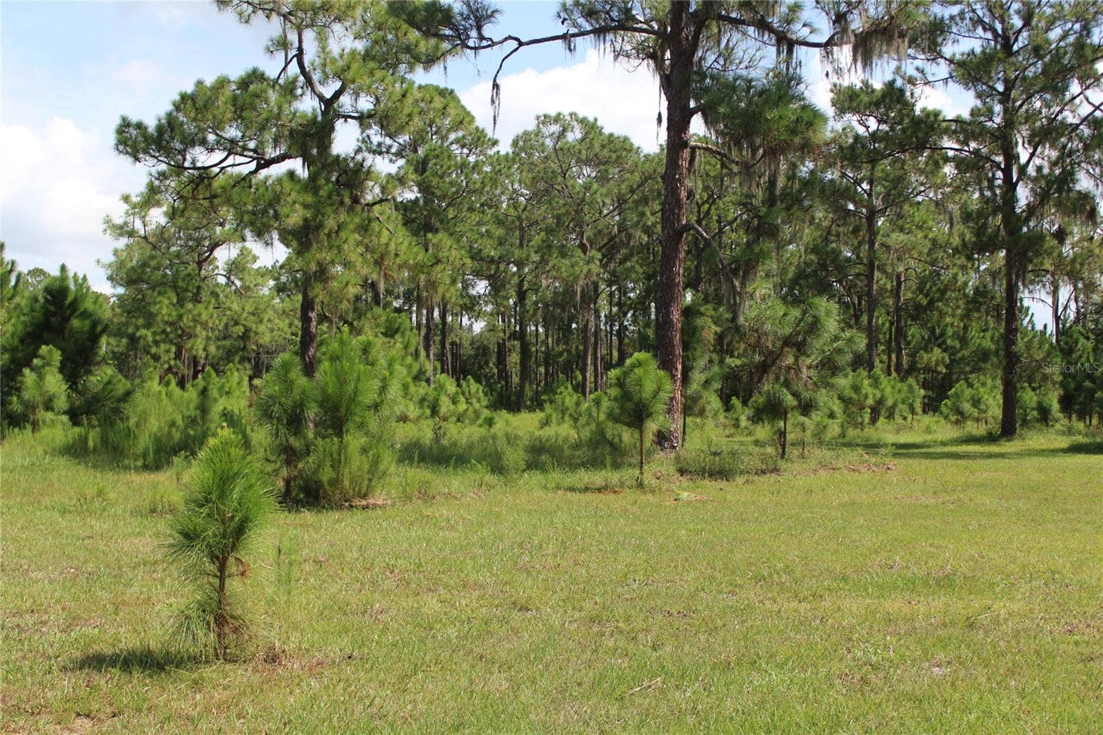 US HIGHWAY 98 W, Frostproof, FL 33843 US HIGHWAY 98 W, Frostproof, FL 33843