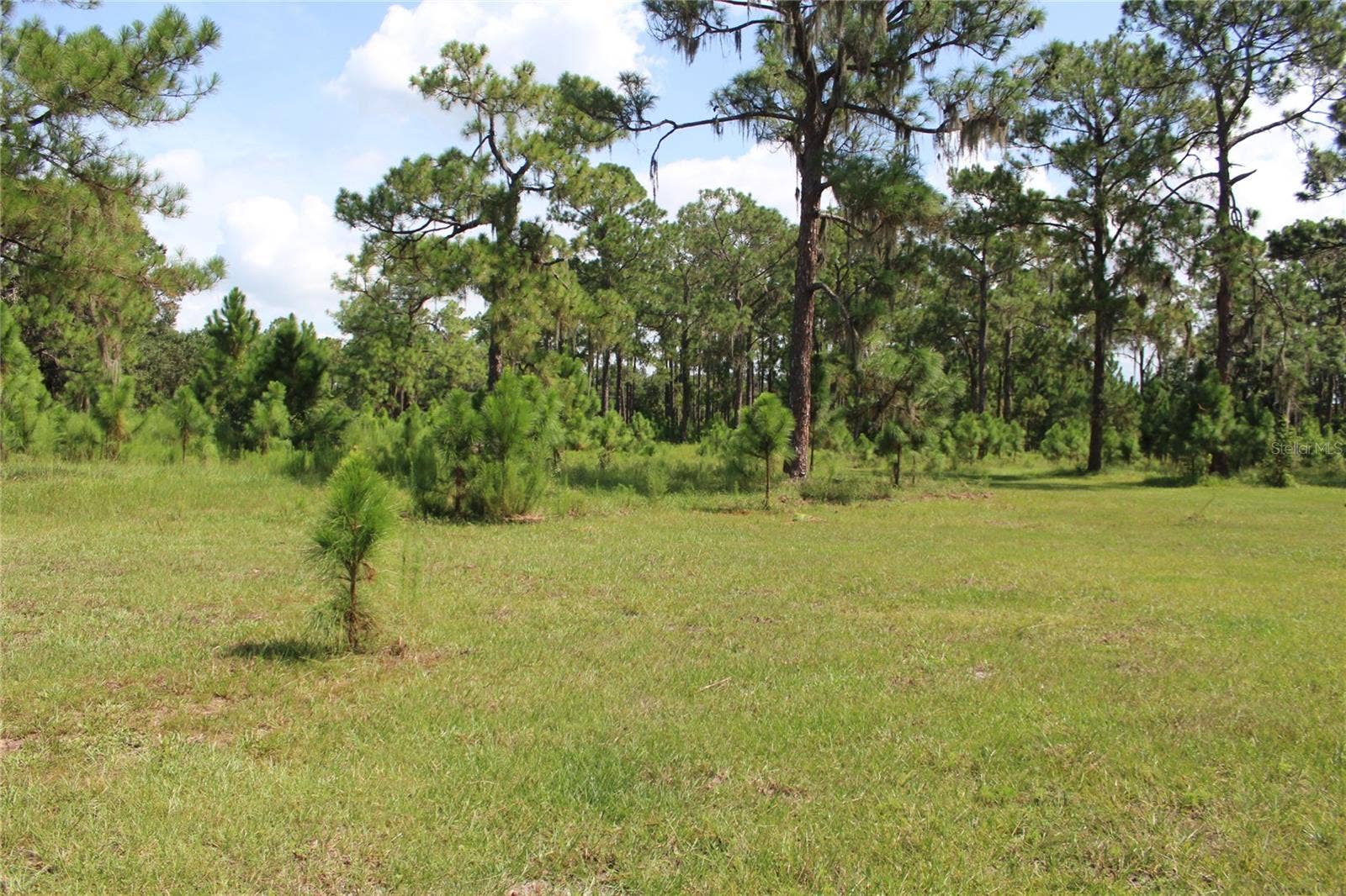 US HIGHWAY 98 W, Frostproof, FL 33843 US HIGHWAY 98 W, Frostproof, FL 33843