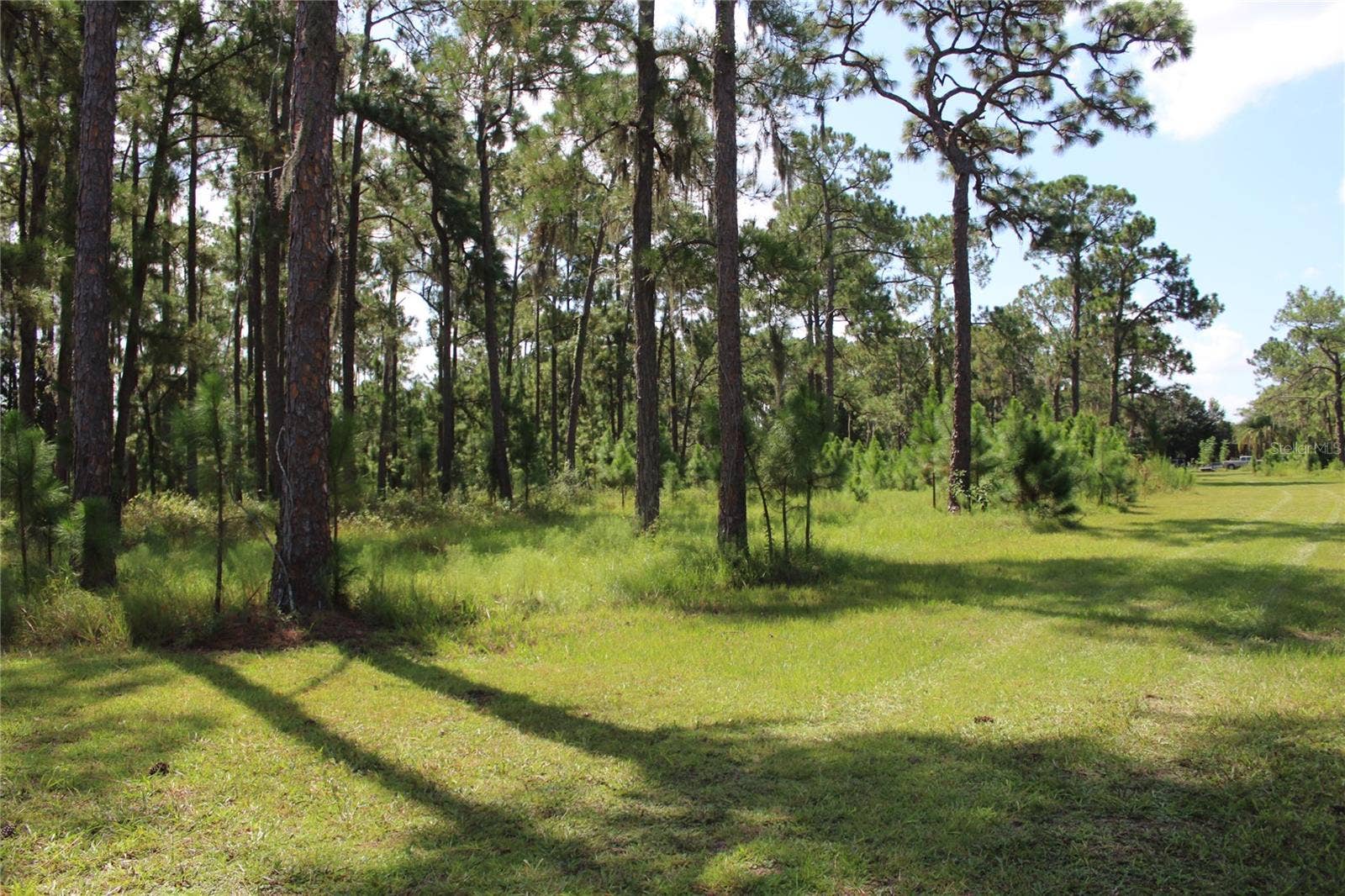 US HIGHWAY 98 W, Frostproof, FL 33843 US HIGHWAY 98 W, Frostproof, FL 33843