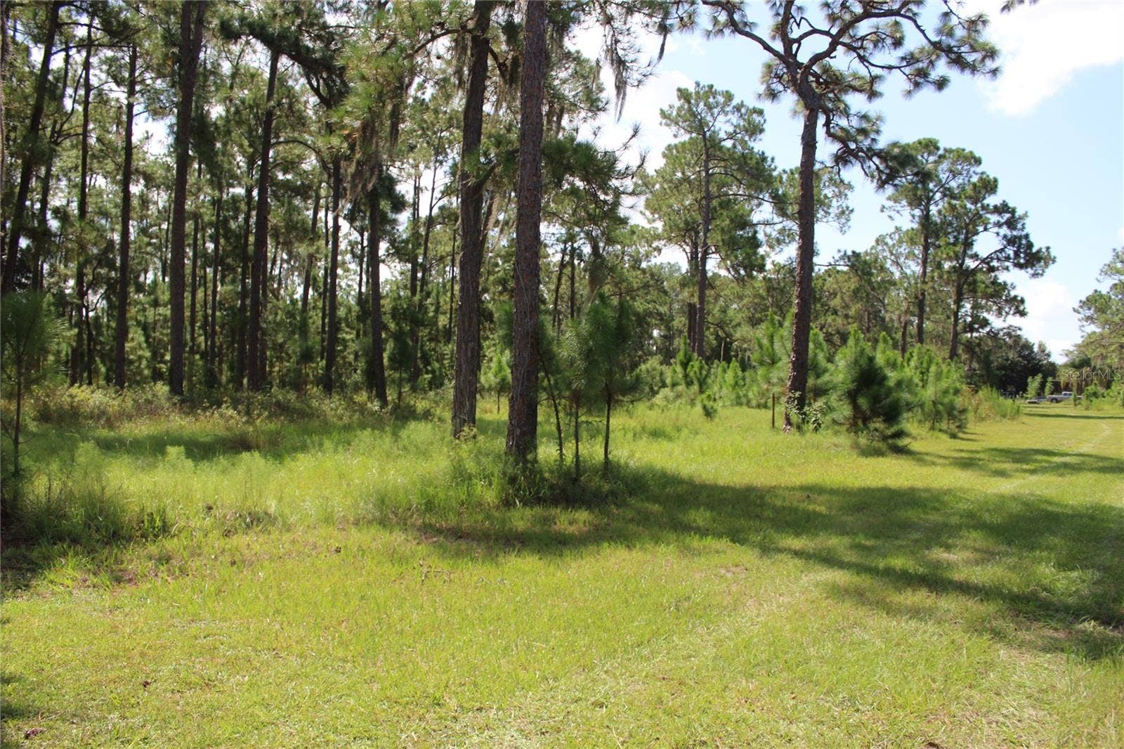 US HIGHWAY 98 W, Frostproof, FL 33843 US HIGHWAY 98 W, Frostproof, FL 33843
