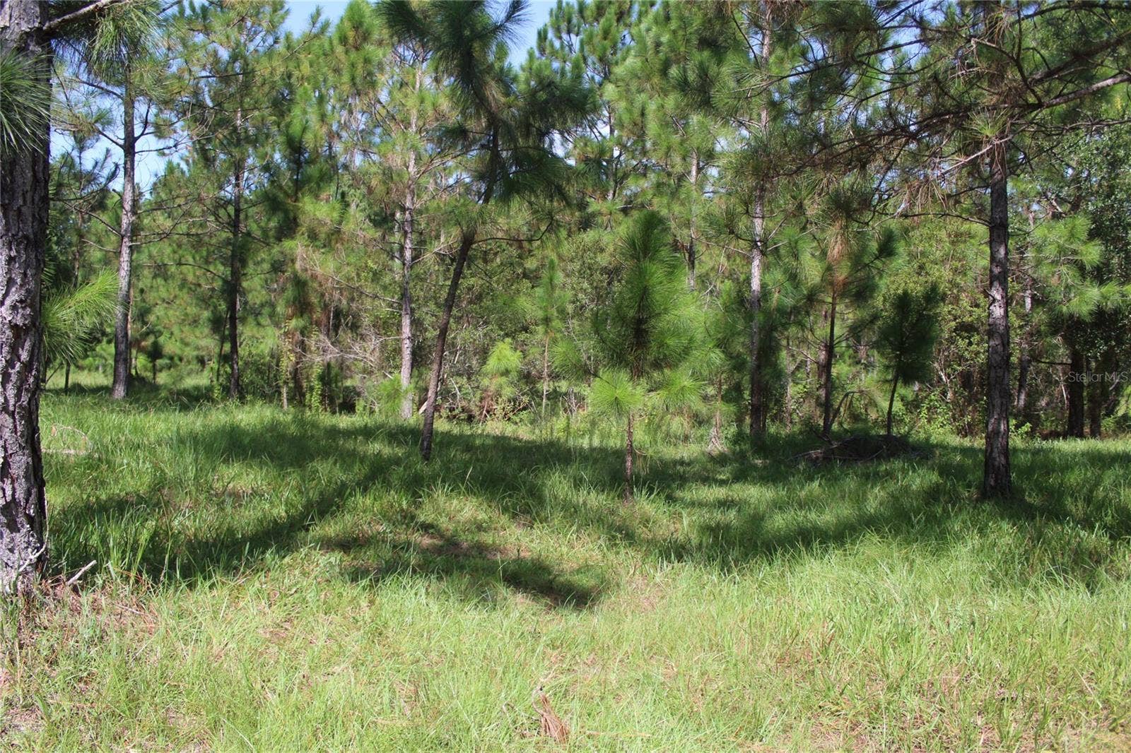 US HIGHWAY 98 W, Frostproof, FL 33843 US HIGHWAY 98 W, Frostproof, FL 33843